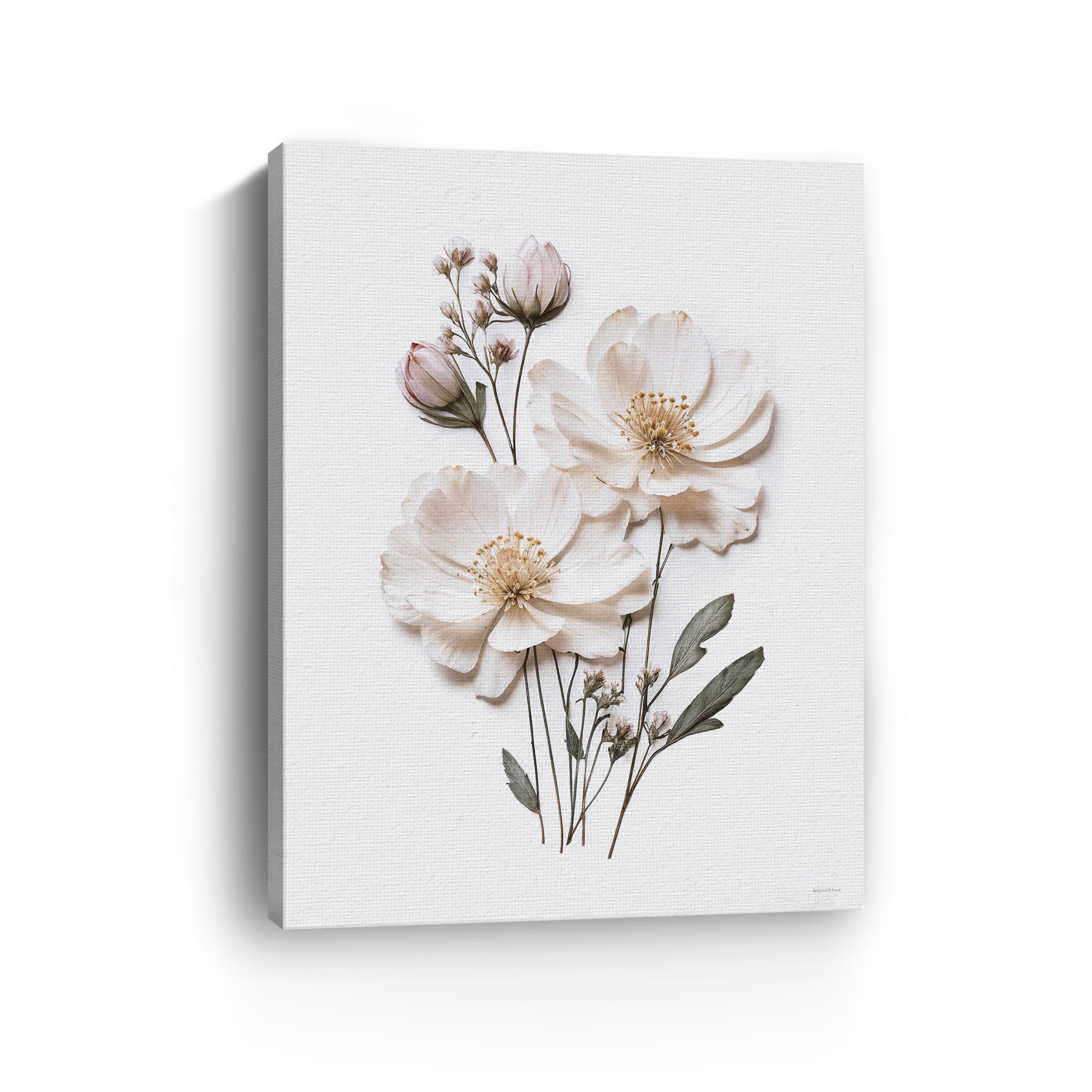 Pressed Flowers IV Canvas Giclee