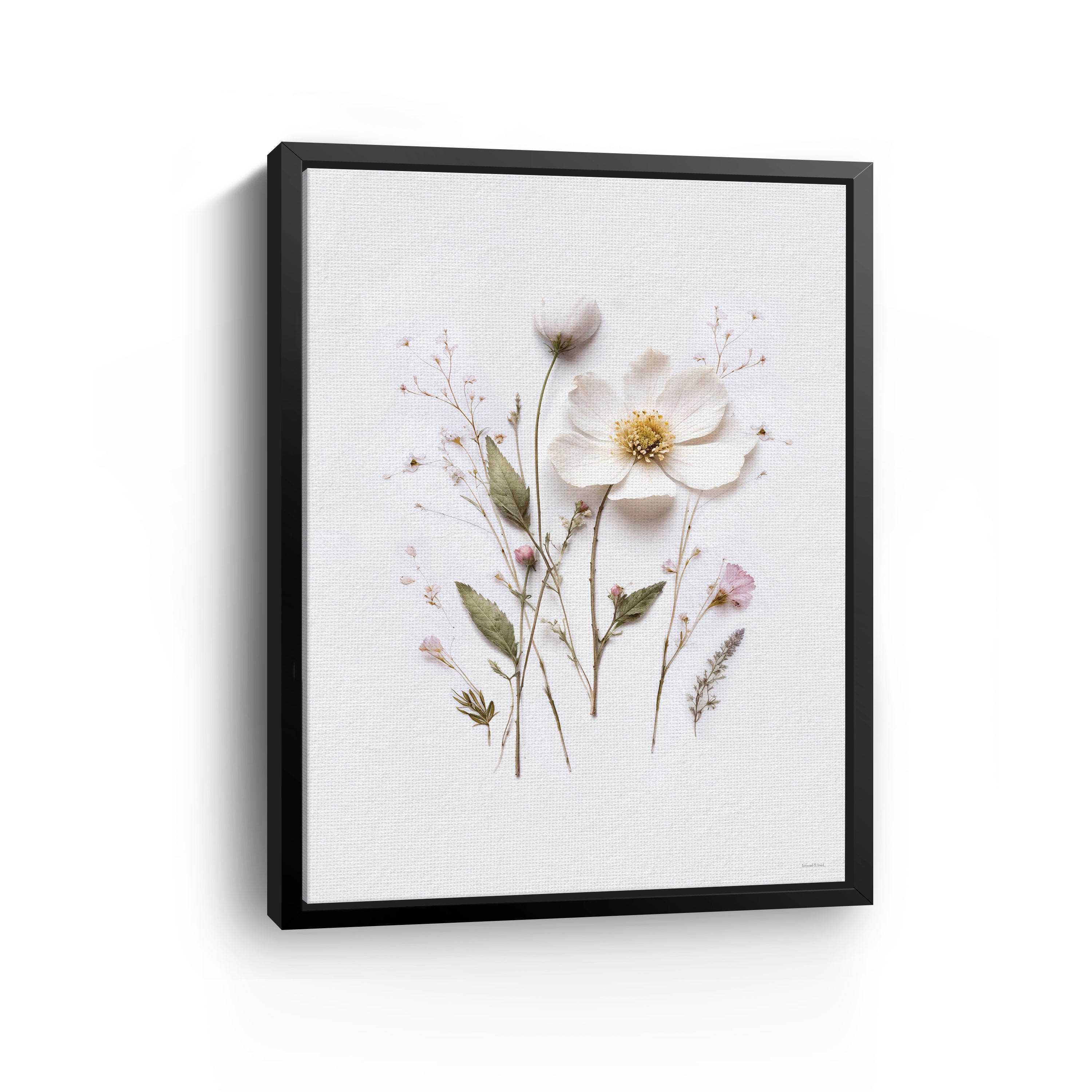 Pressed Flowers V Canvas Giclee