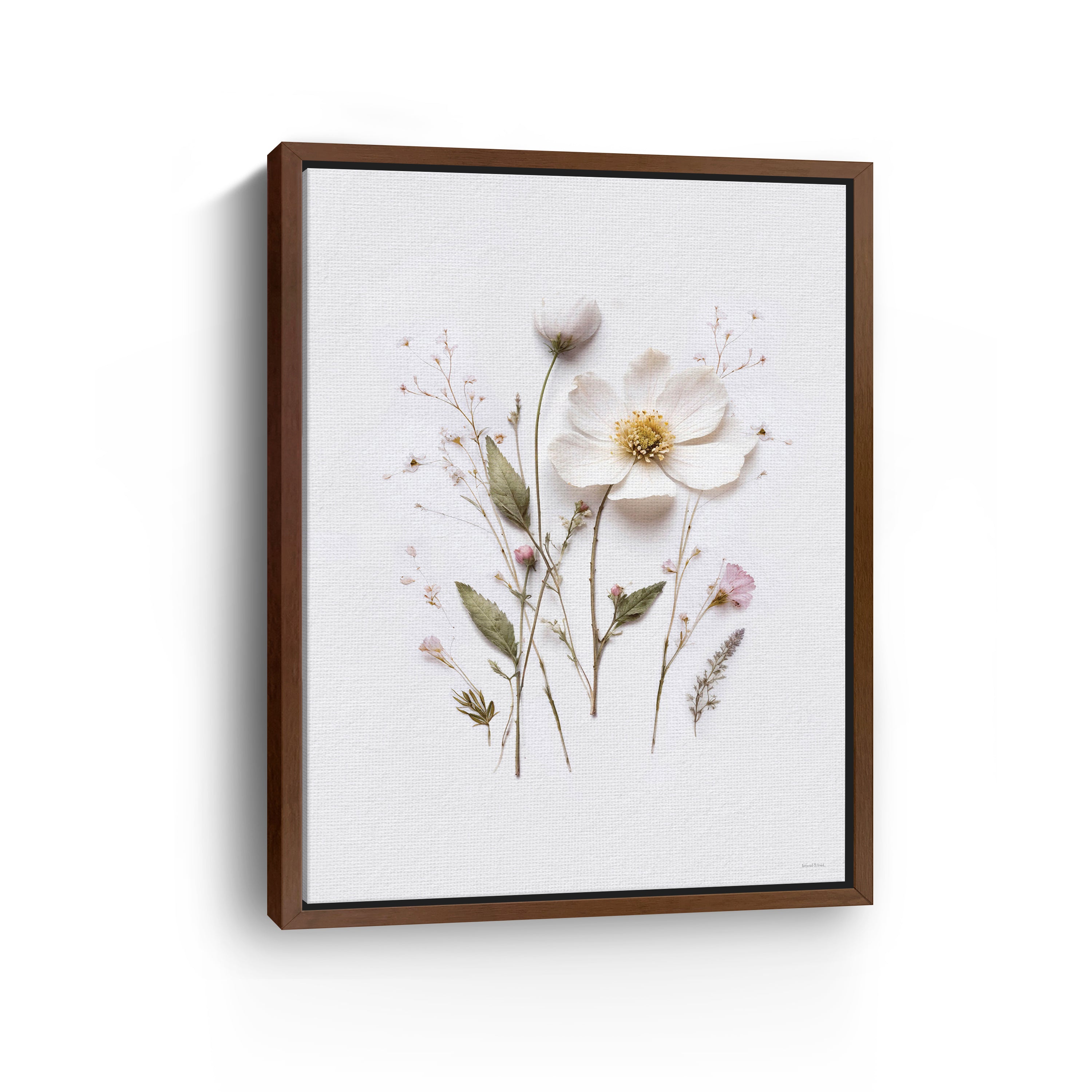 Pressed Flowers V Canvas Giclee