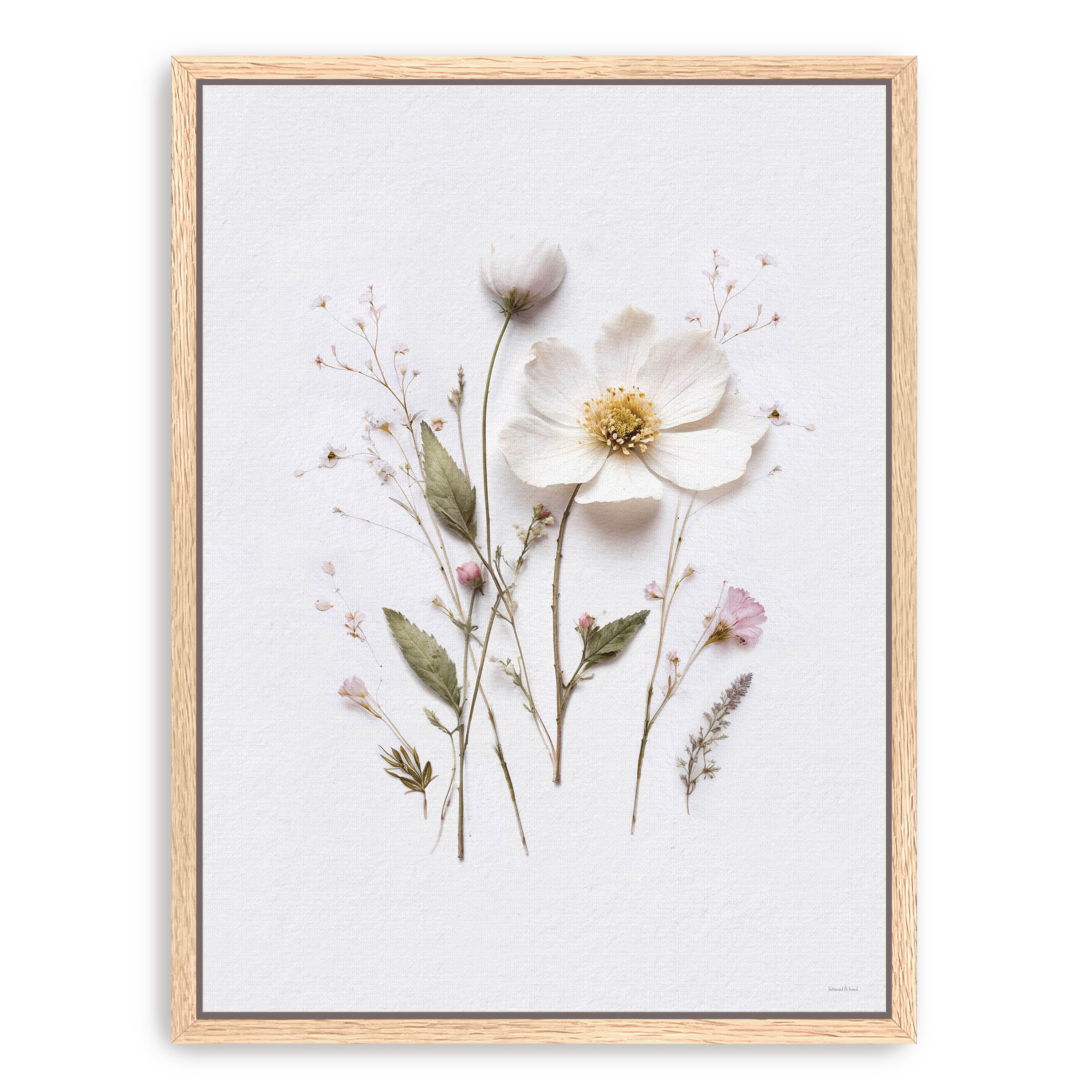 Pressed Flowers V Canvas Giclee