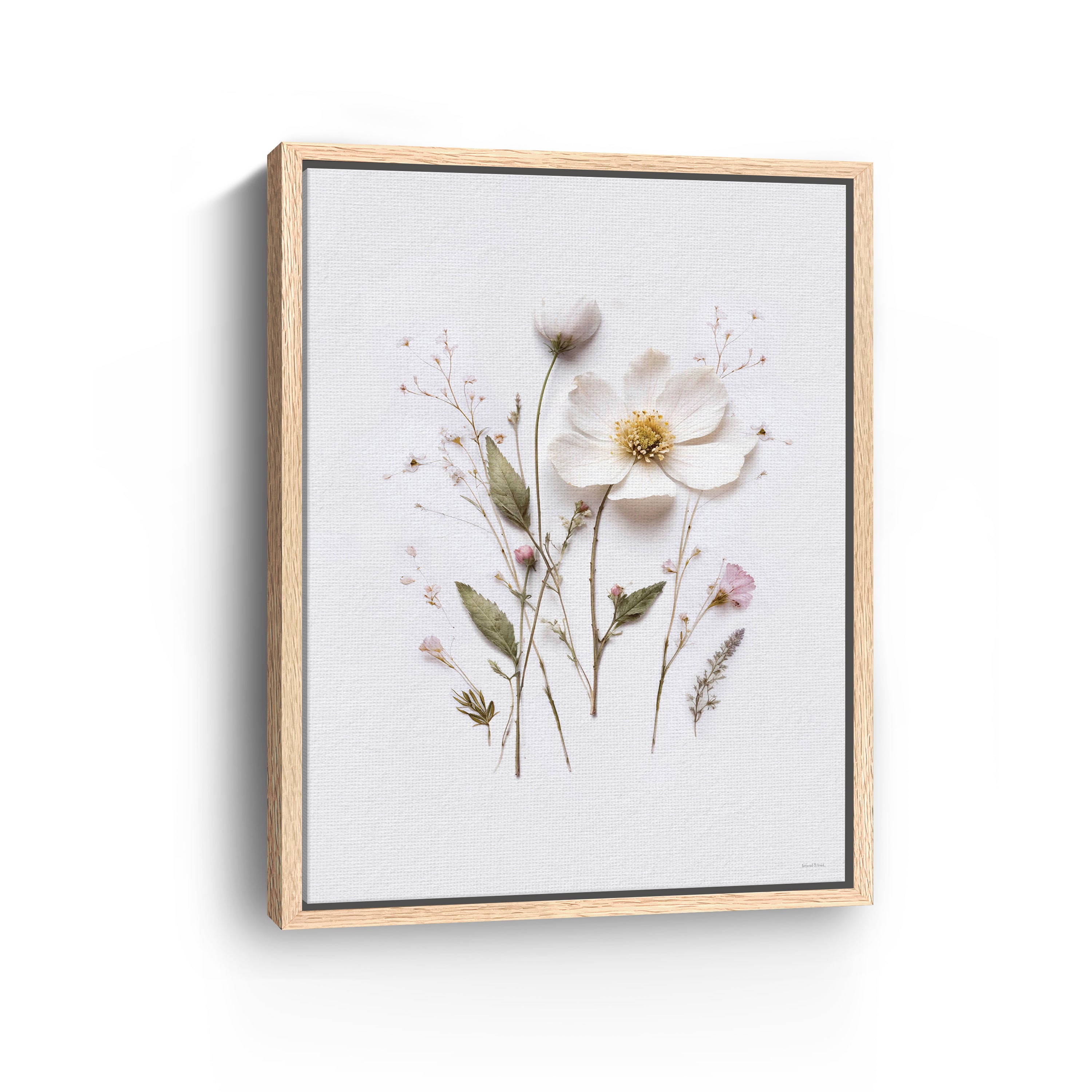 Pressed Flowers V Canvas Giclee