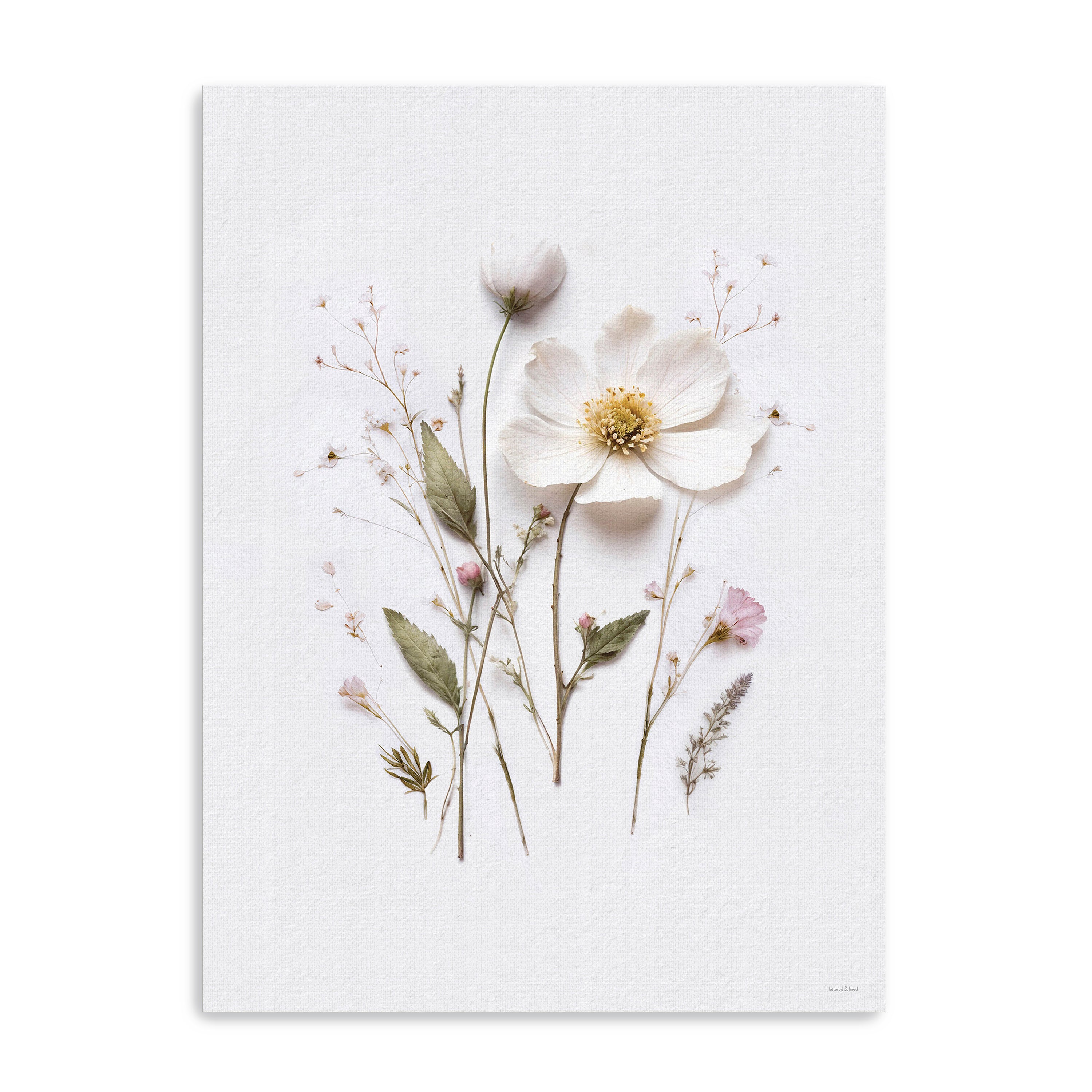 Pressed Flowers V Canvas Giclee