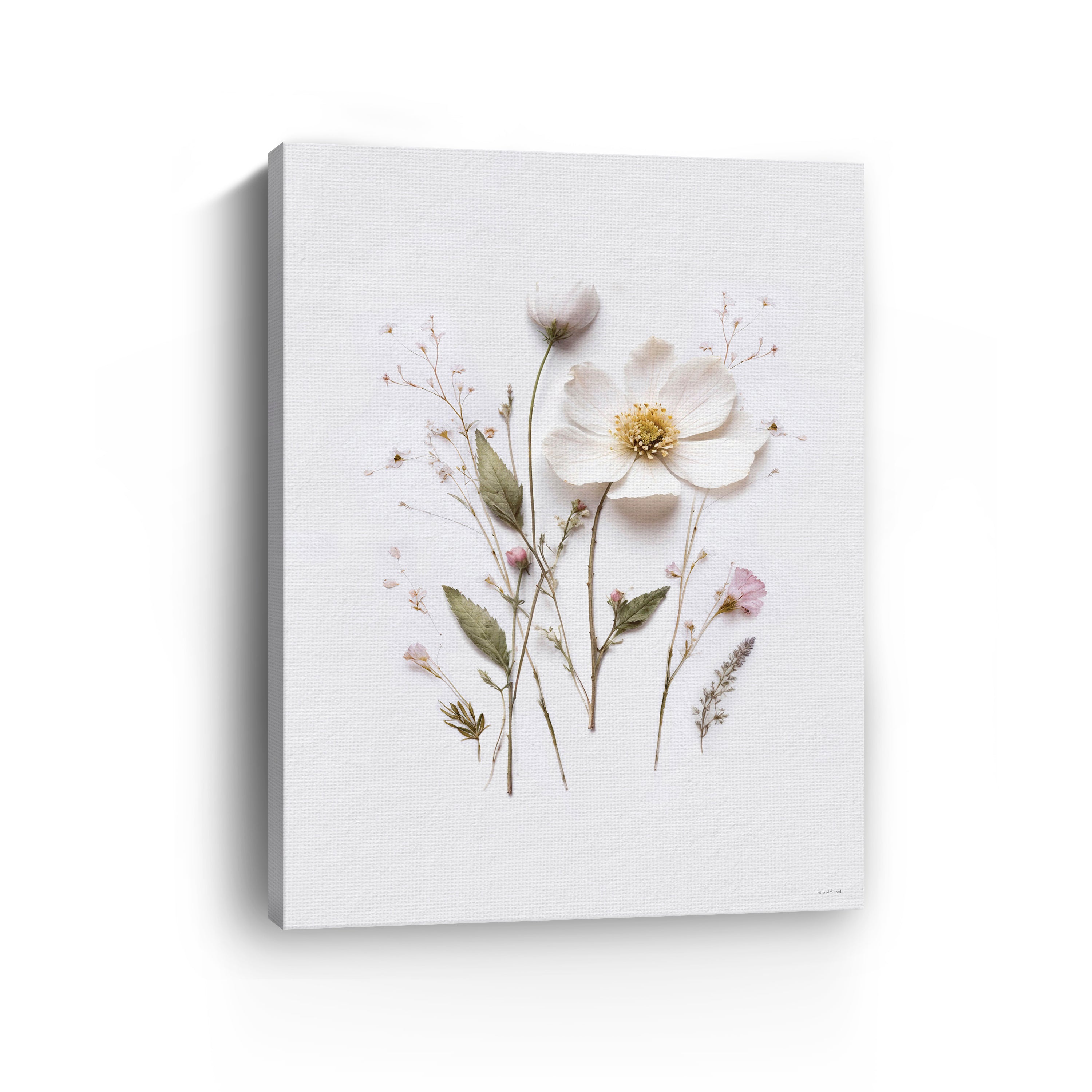 Pressed Flowers V Canvas Giclee