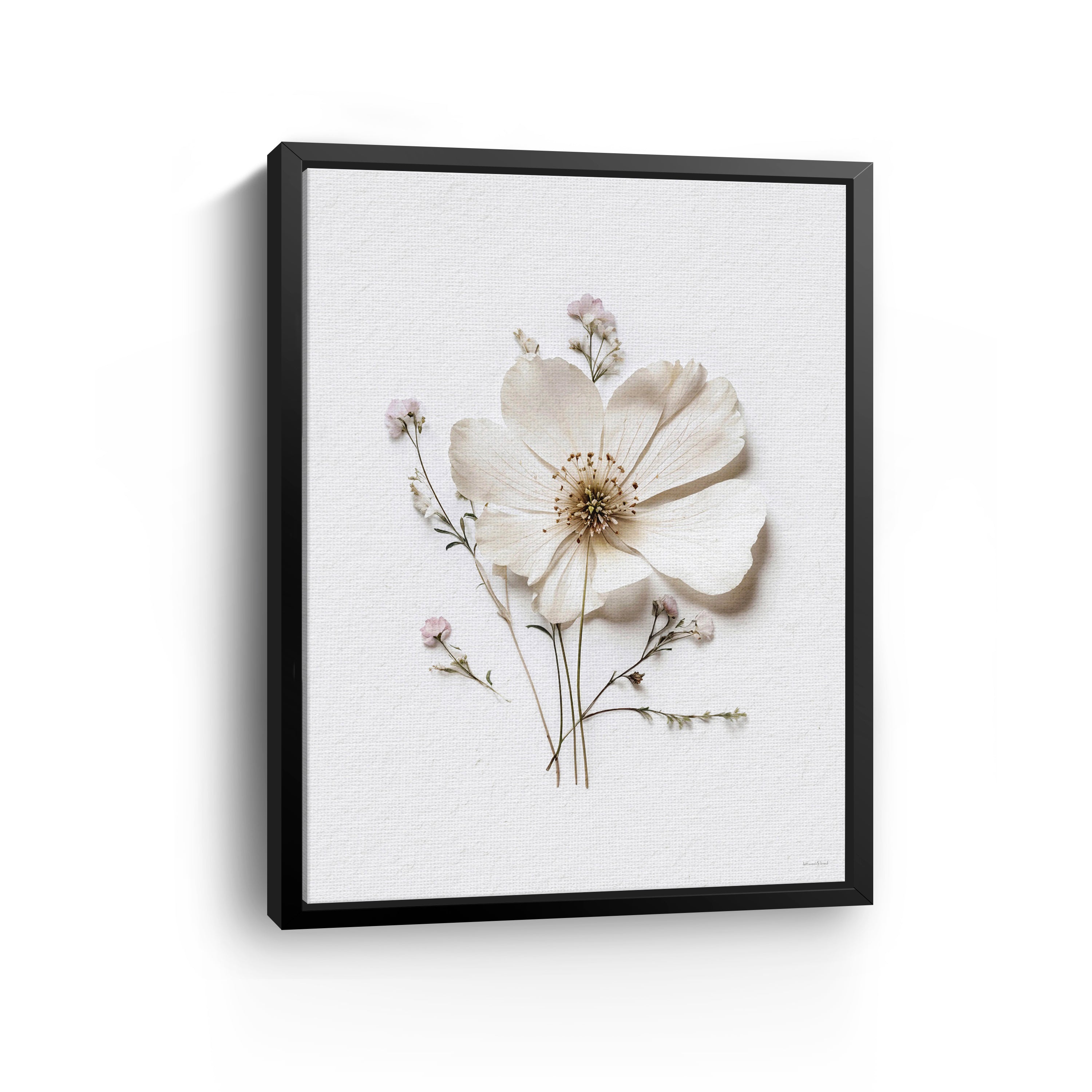 Pressed Flowers VI Canvas Giclee