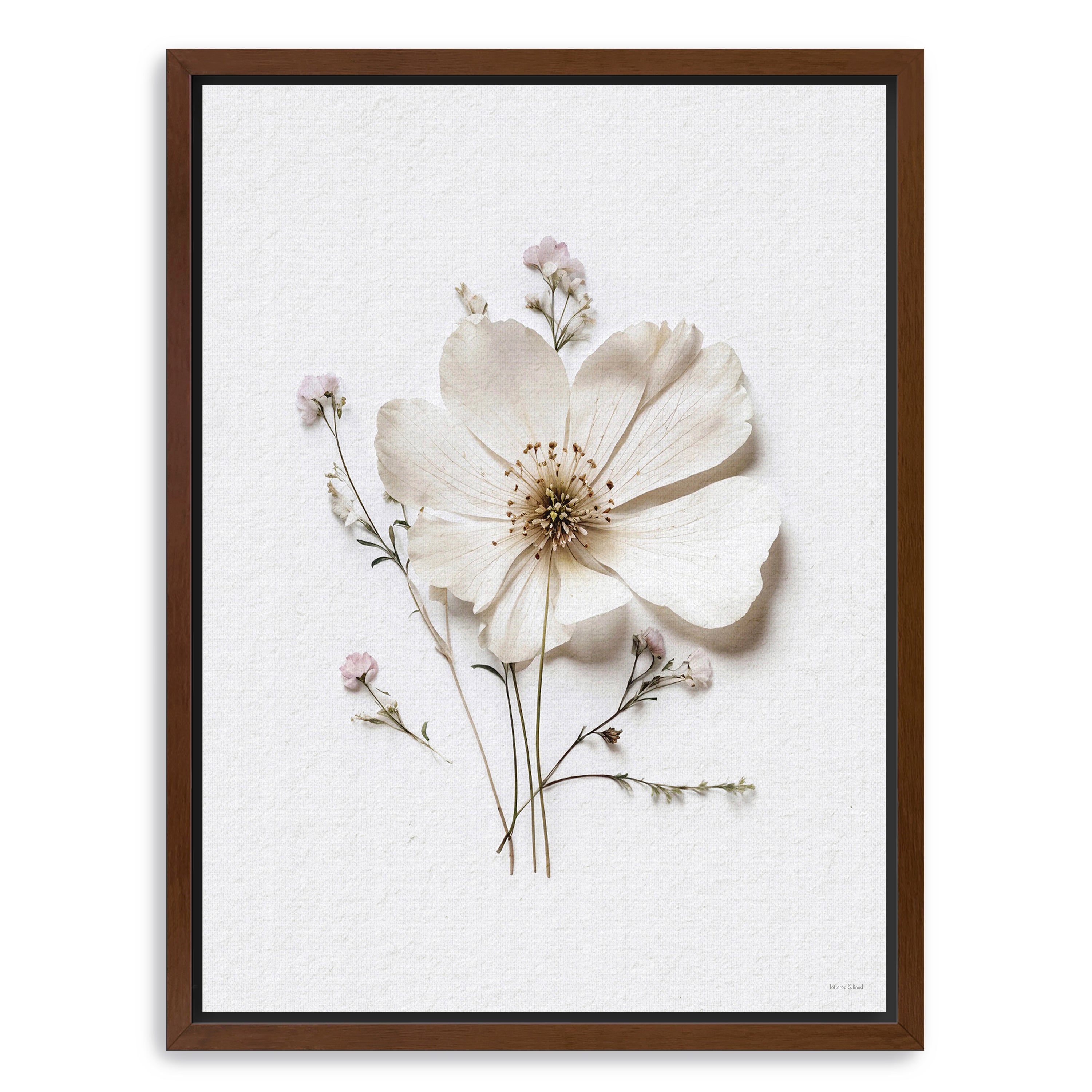 Pressed Flowers VI Canvas Giclee