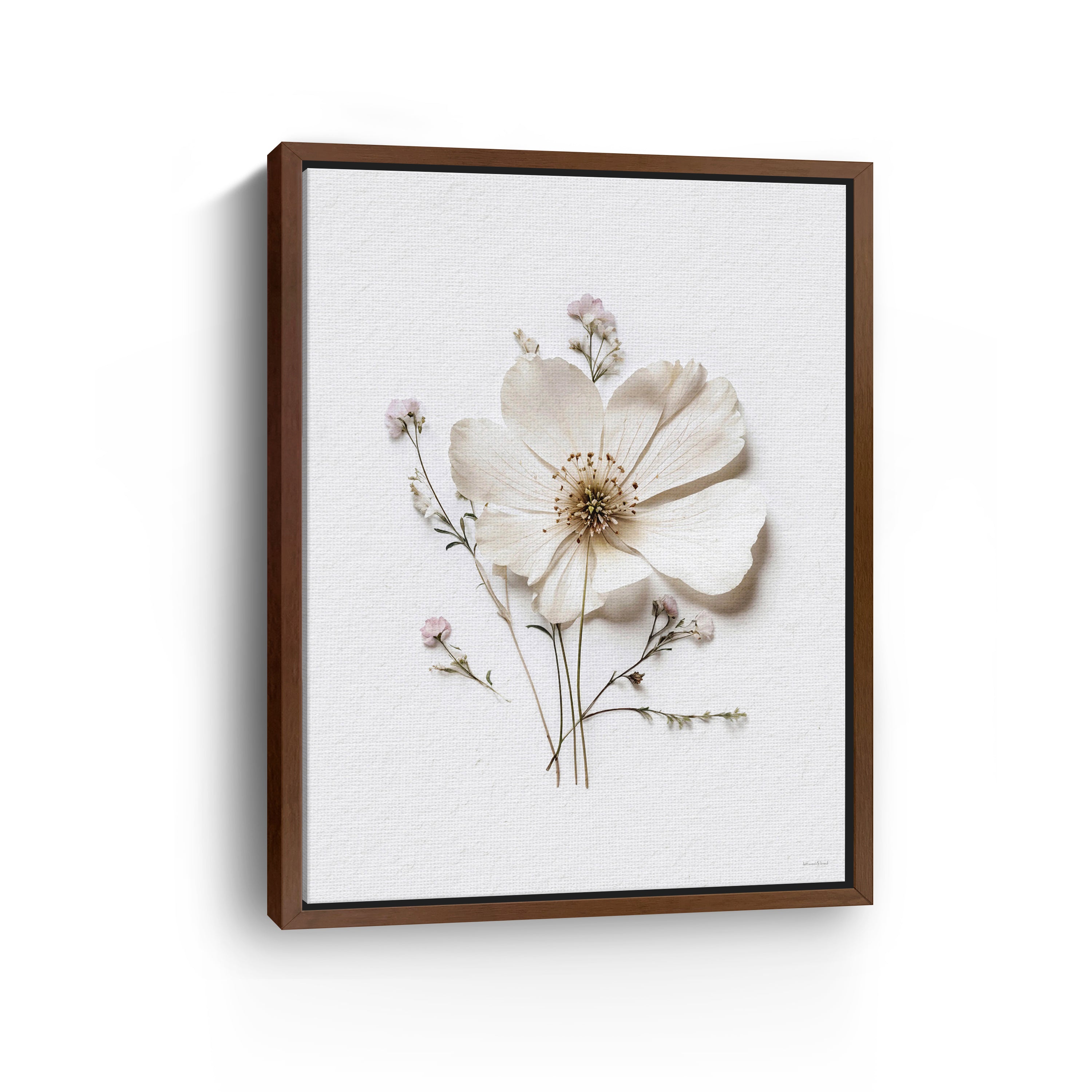 Pressed Flowers VI Canvas Giclee