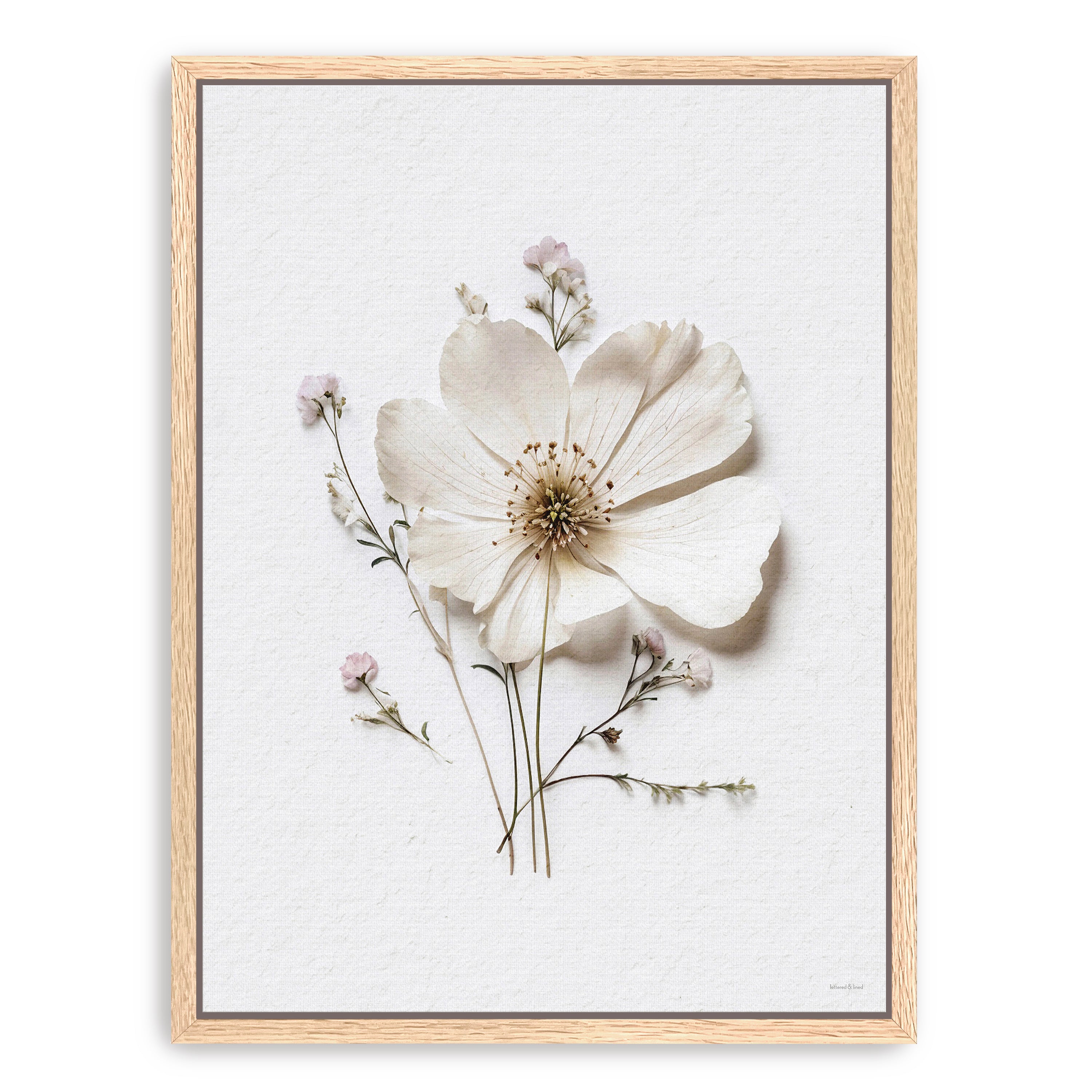 Pressed Flowers VI Canvas Giclee