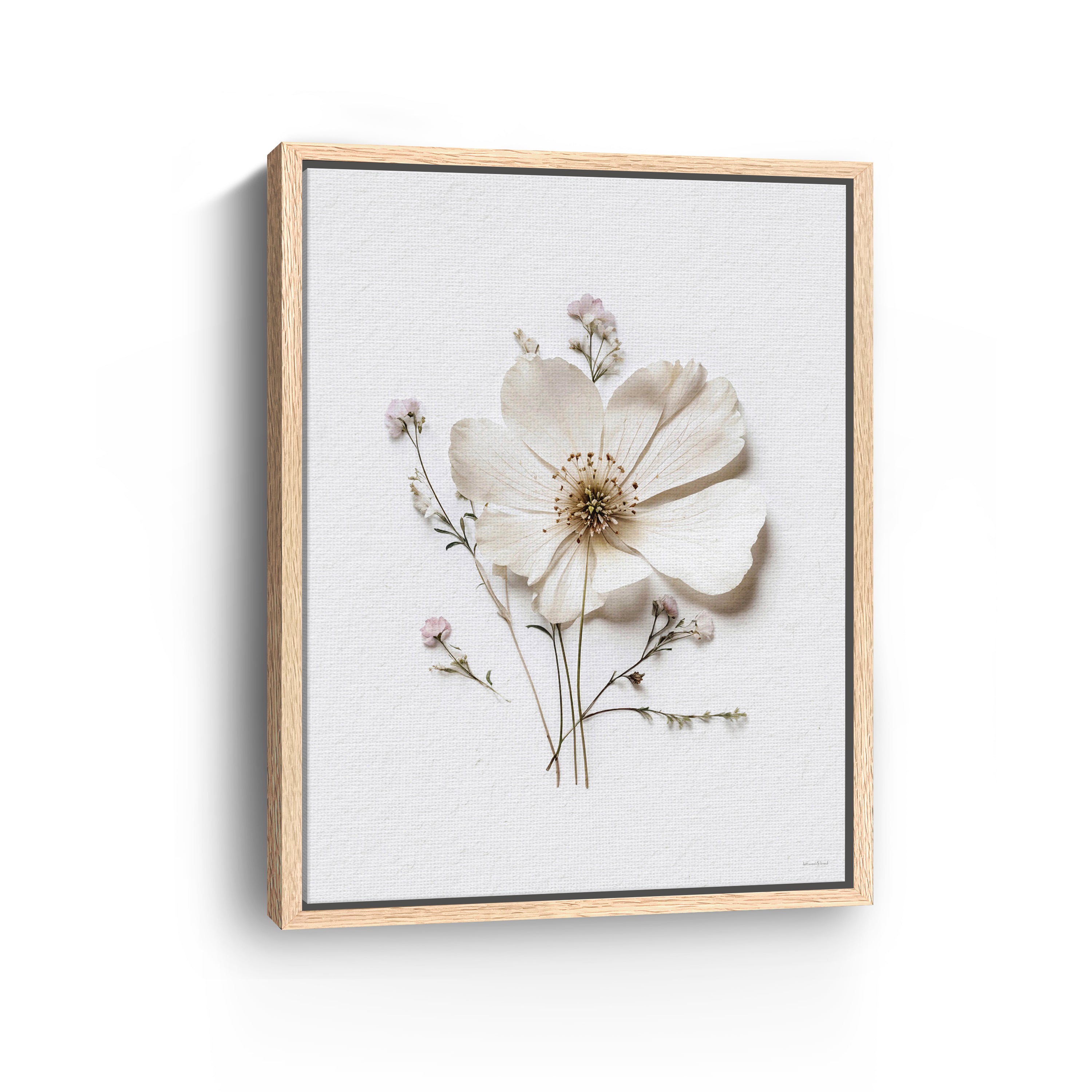 Pressed Flowers VI Canvas Giclee