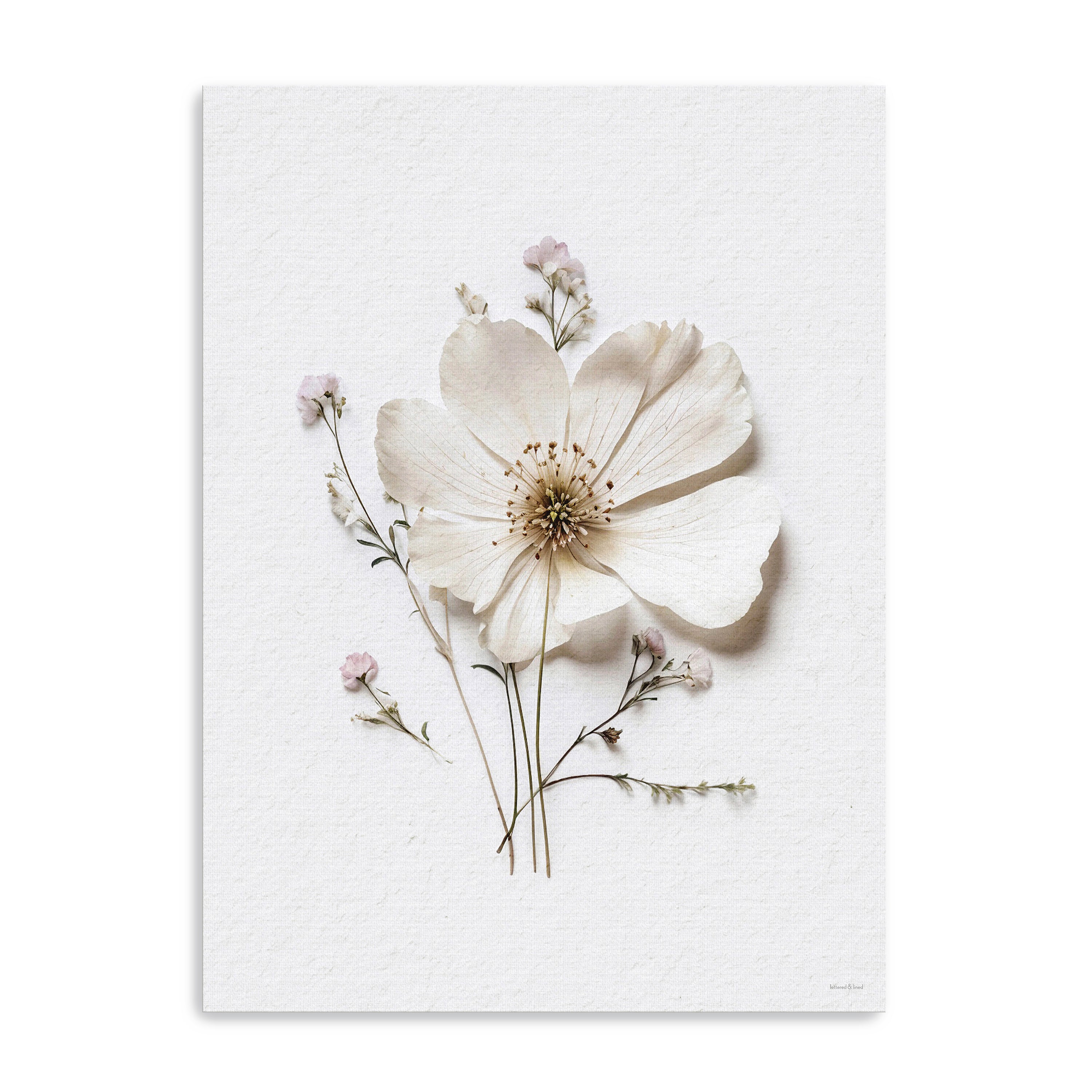 Pressed Flowers VI Canvas Giclee