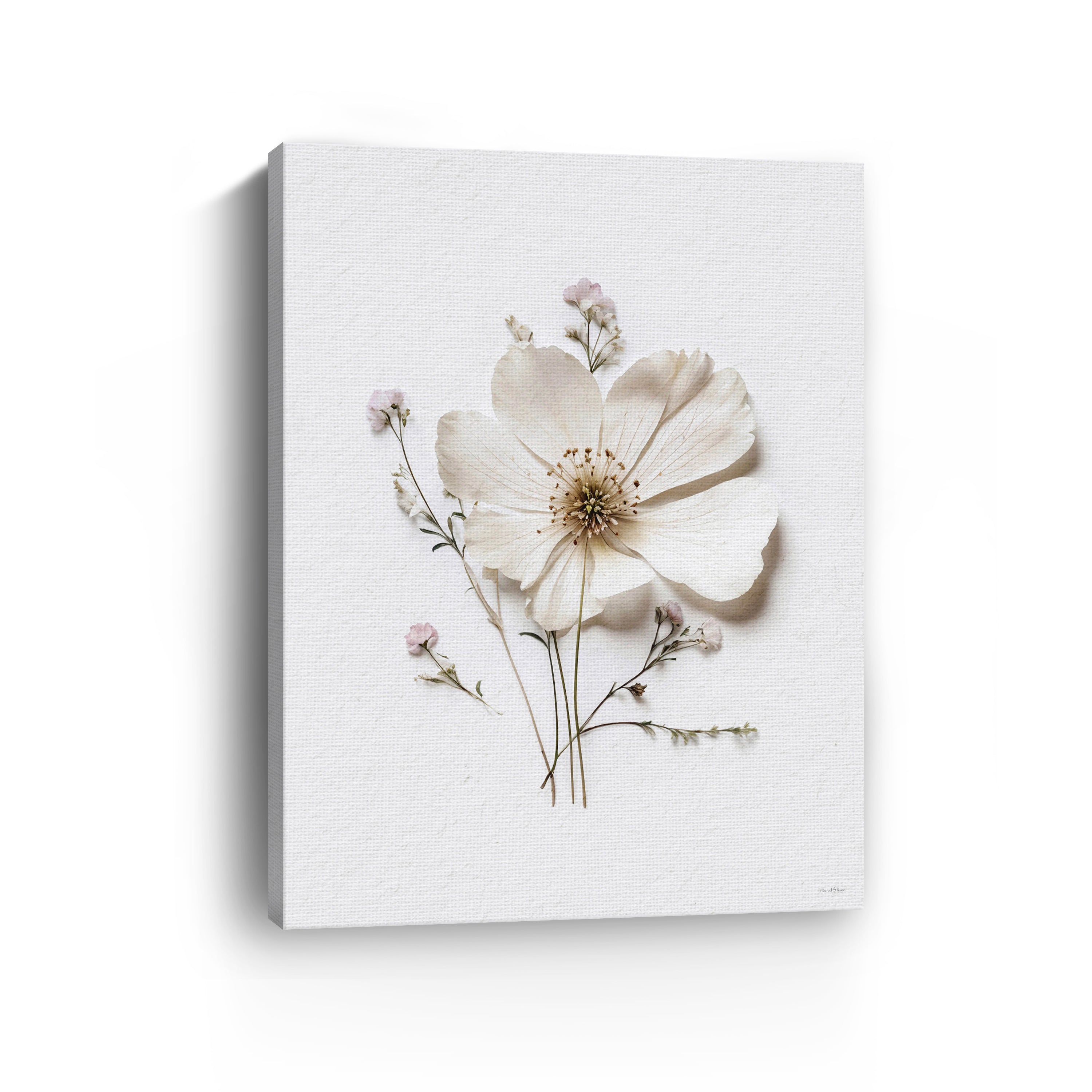 Pressed Flowers VI Canvas Giclee