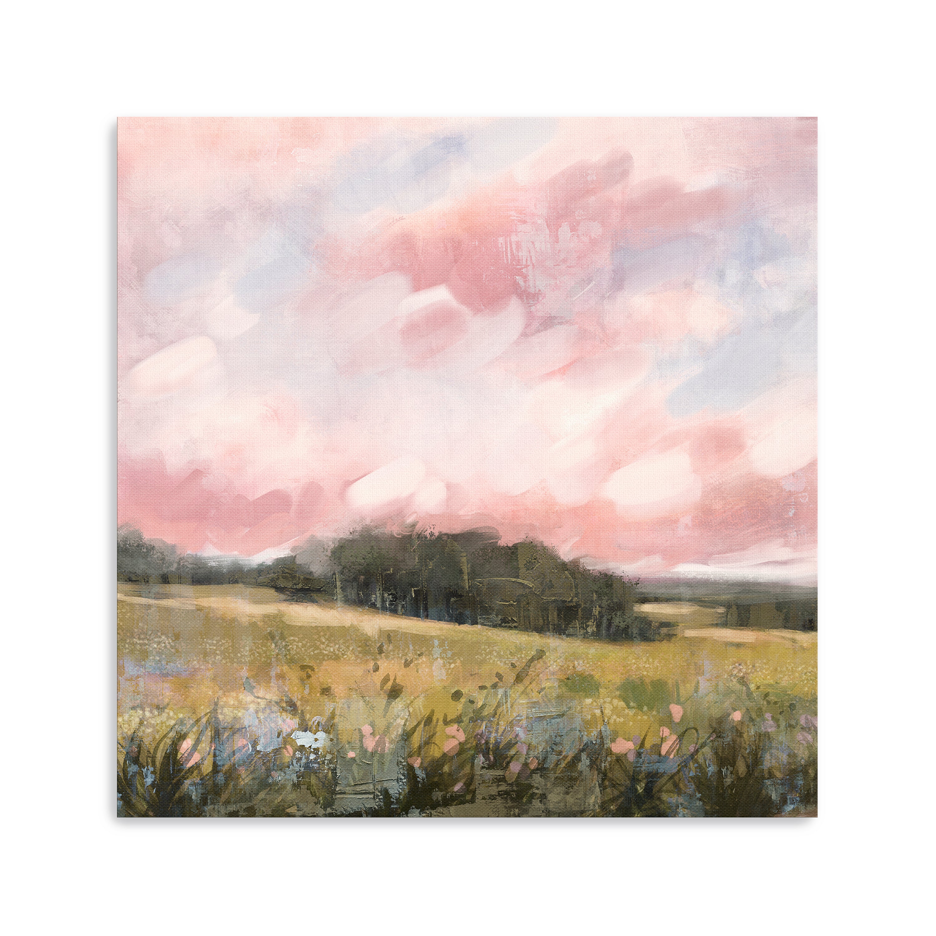 Spring fields I Canvas Giclee Wall Art