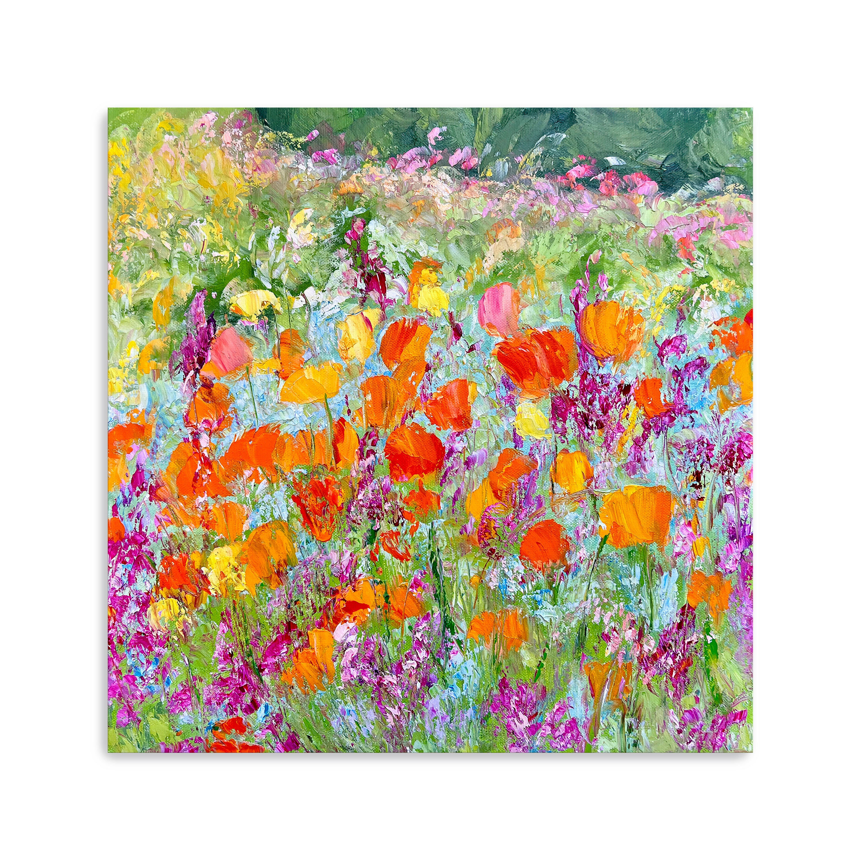 Wild Poppies Canvas Giclee