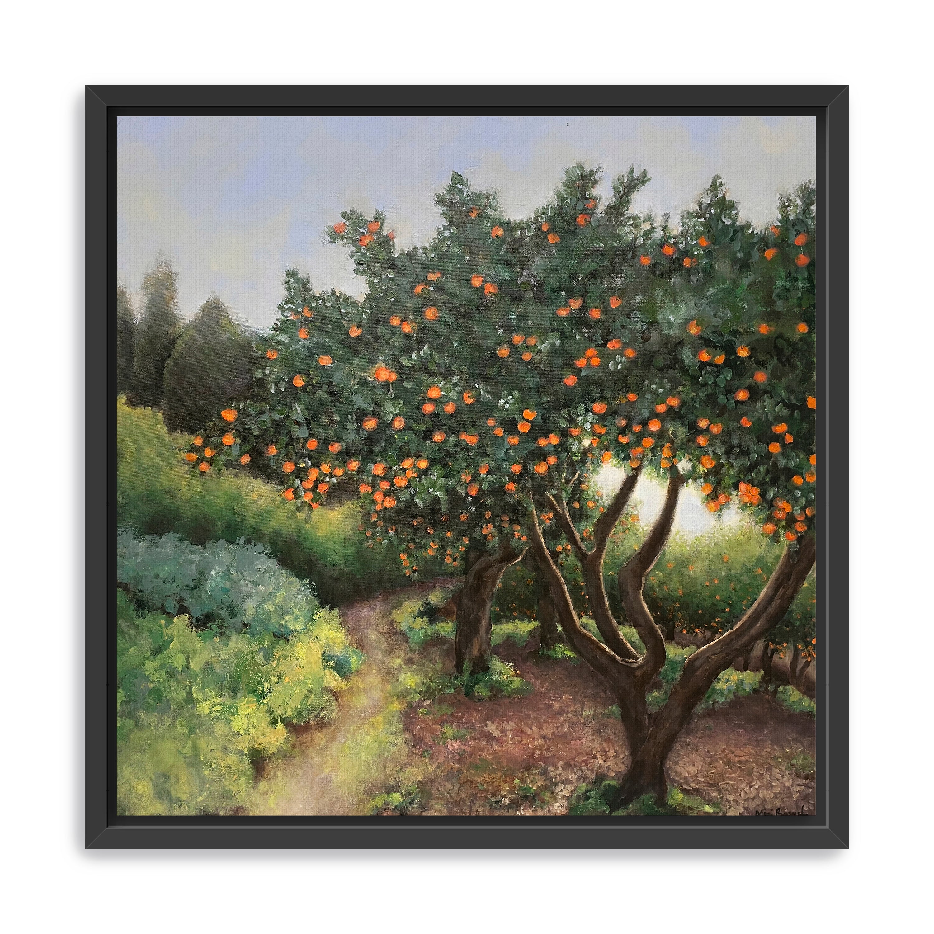 Orange Trees Canvas Giclee