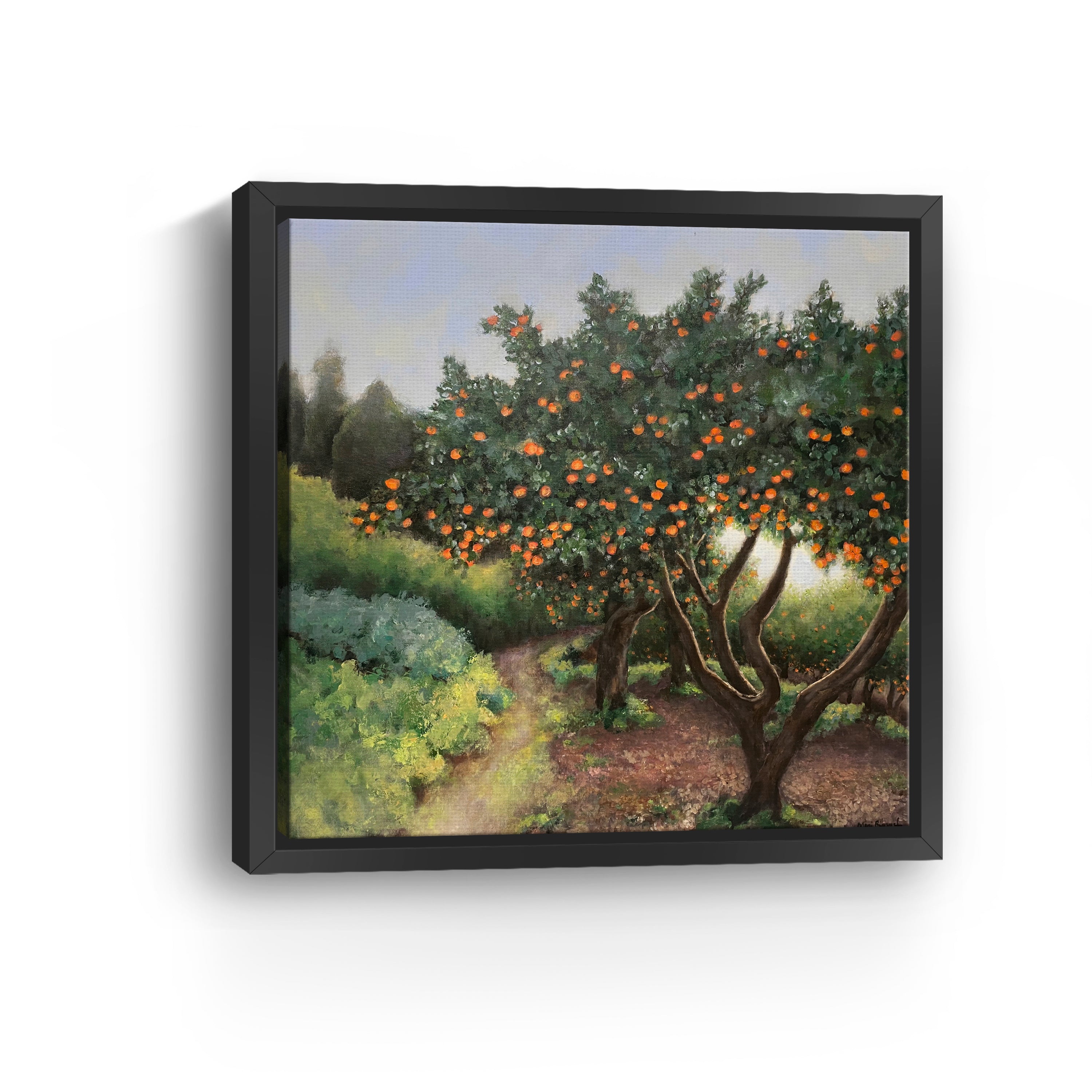 Orange Trees Canvas Giclee