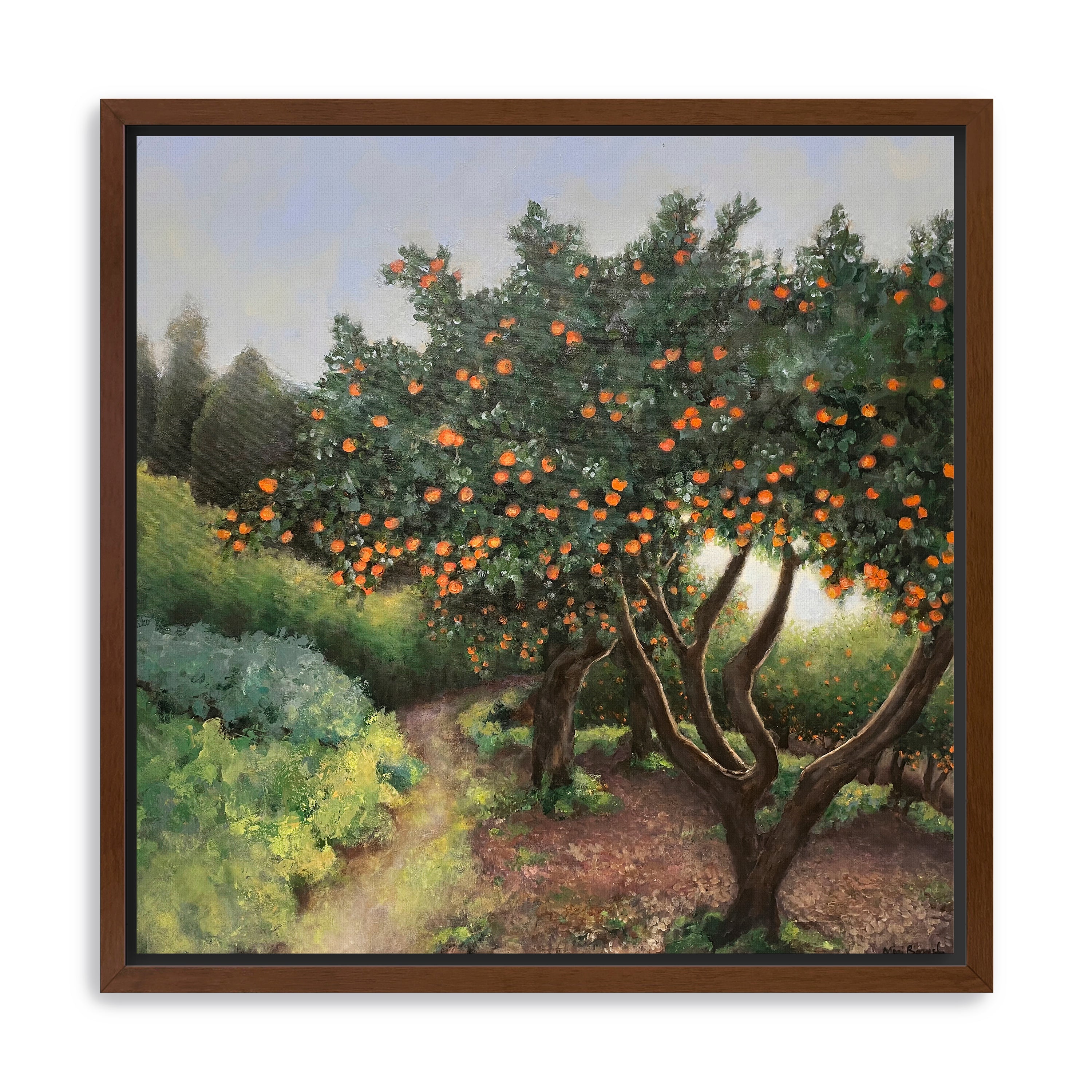 Orange Trees Canvas Giclee