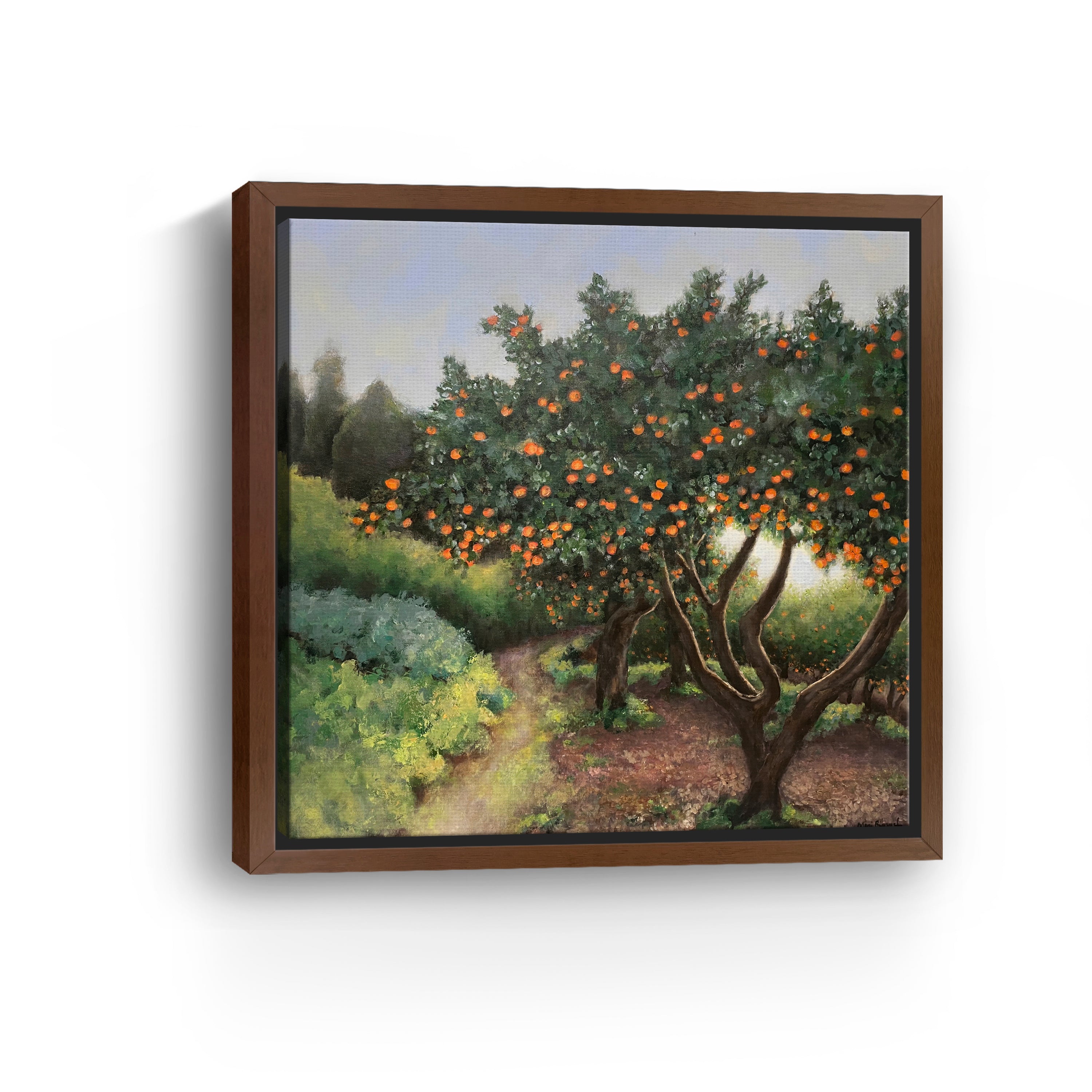Orange Trees Canvas Giclee