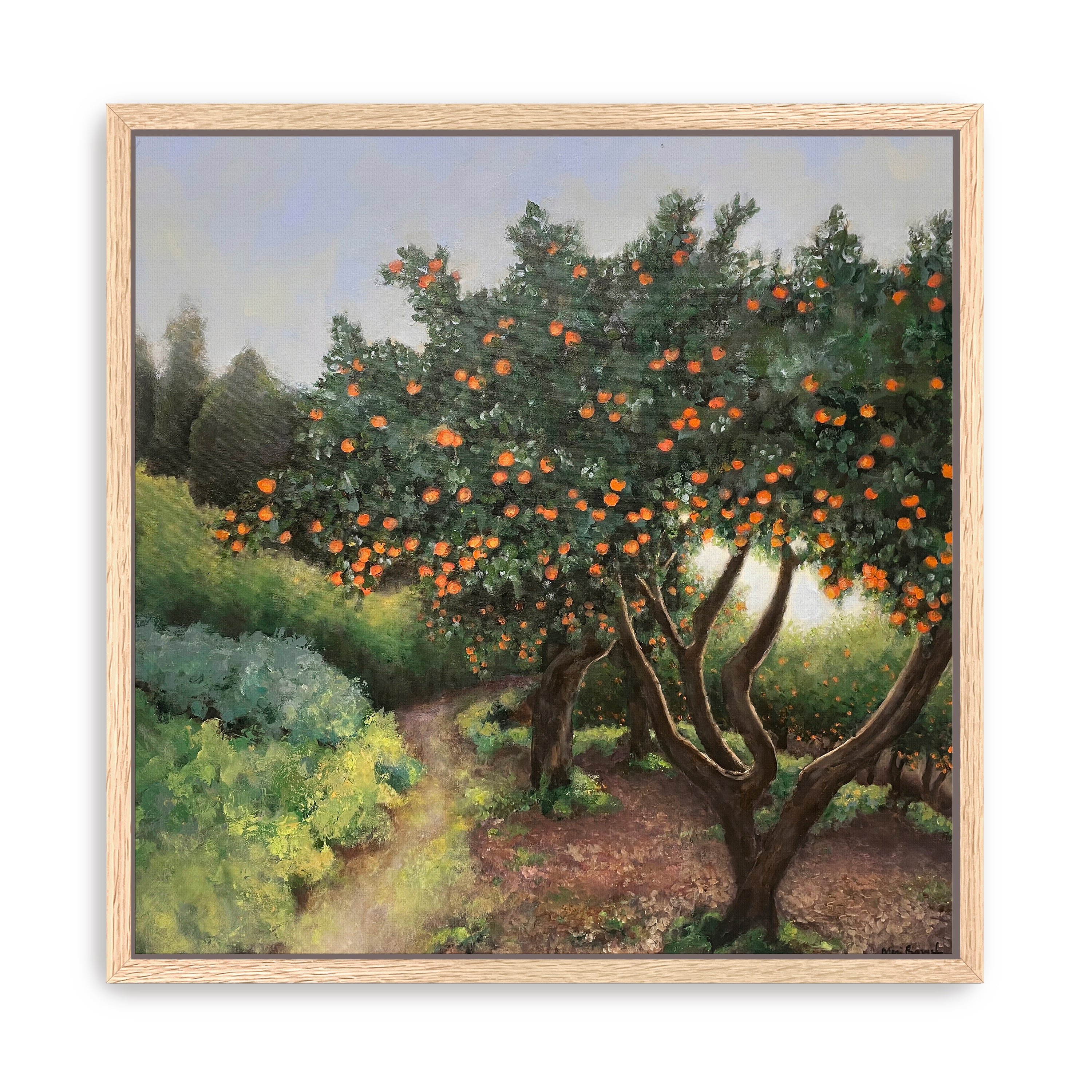 Orange Trees Canvas Giclee