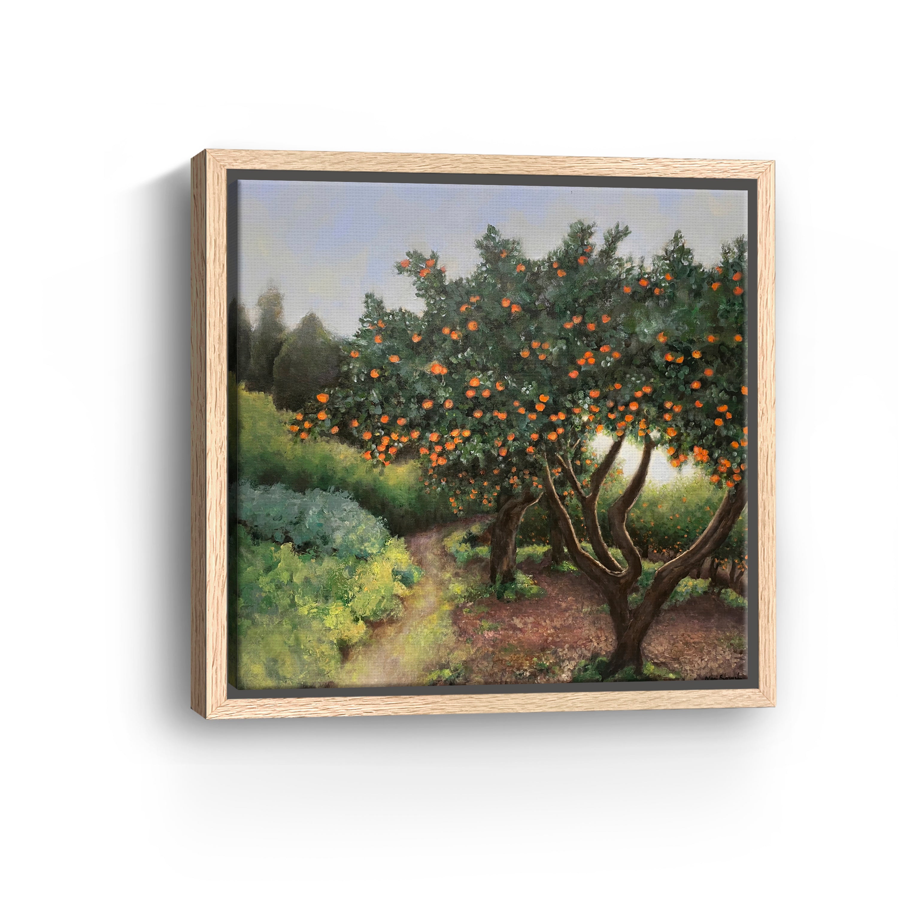 Orange Trees Canvas Giclee
