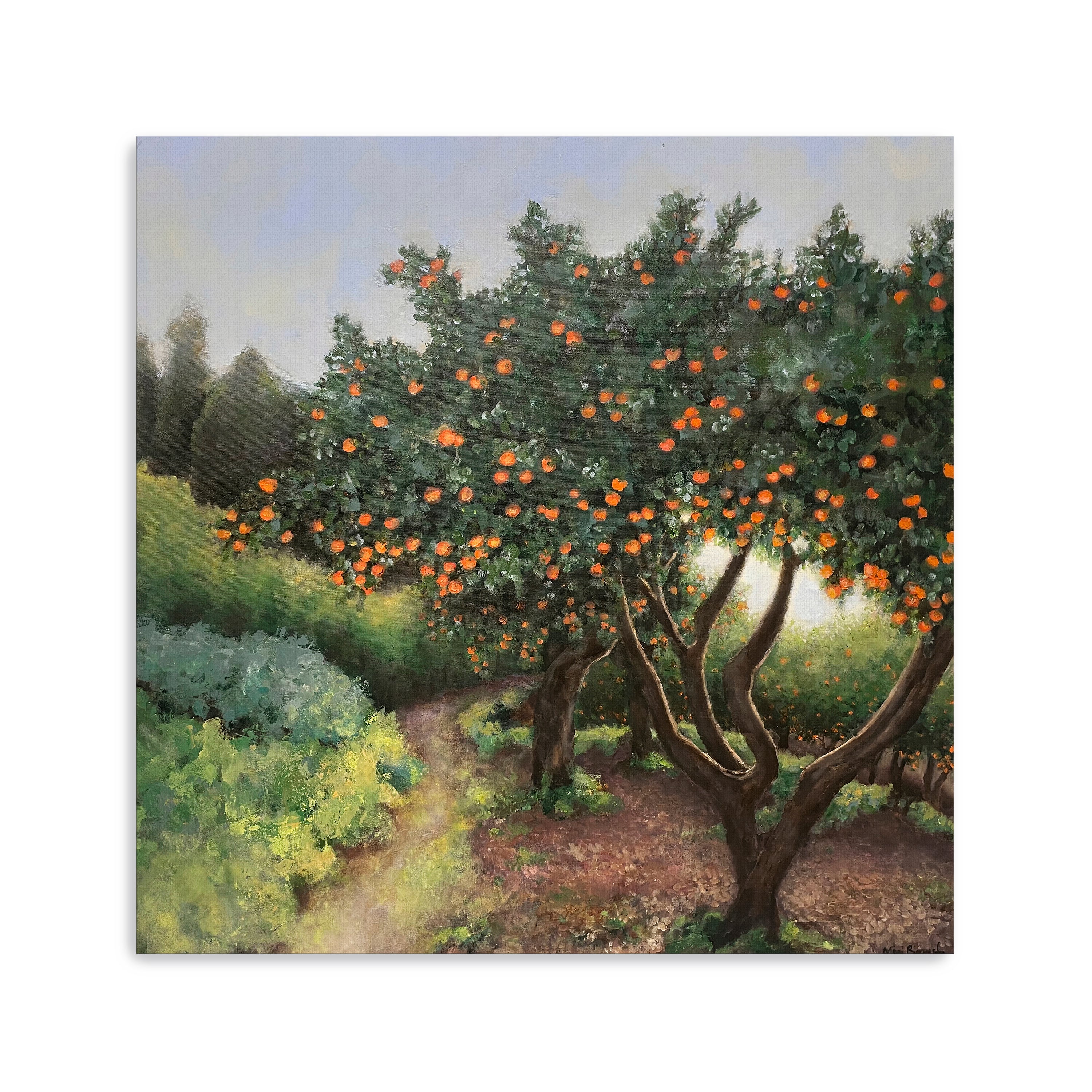 Orange Trees Canvas Giclee
