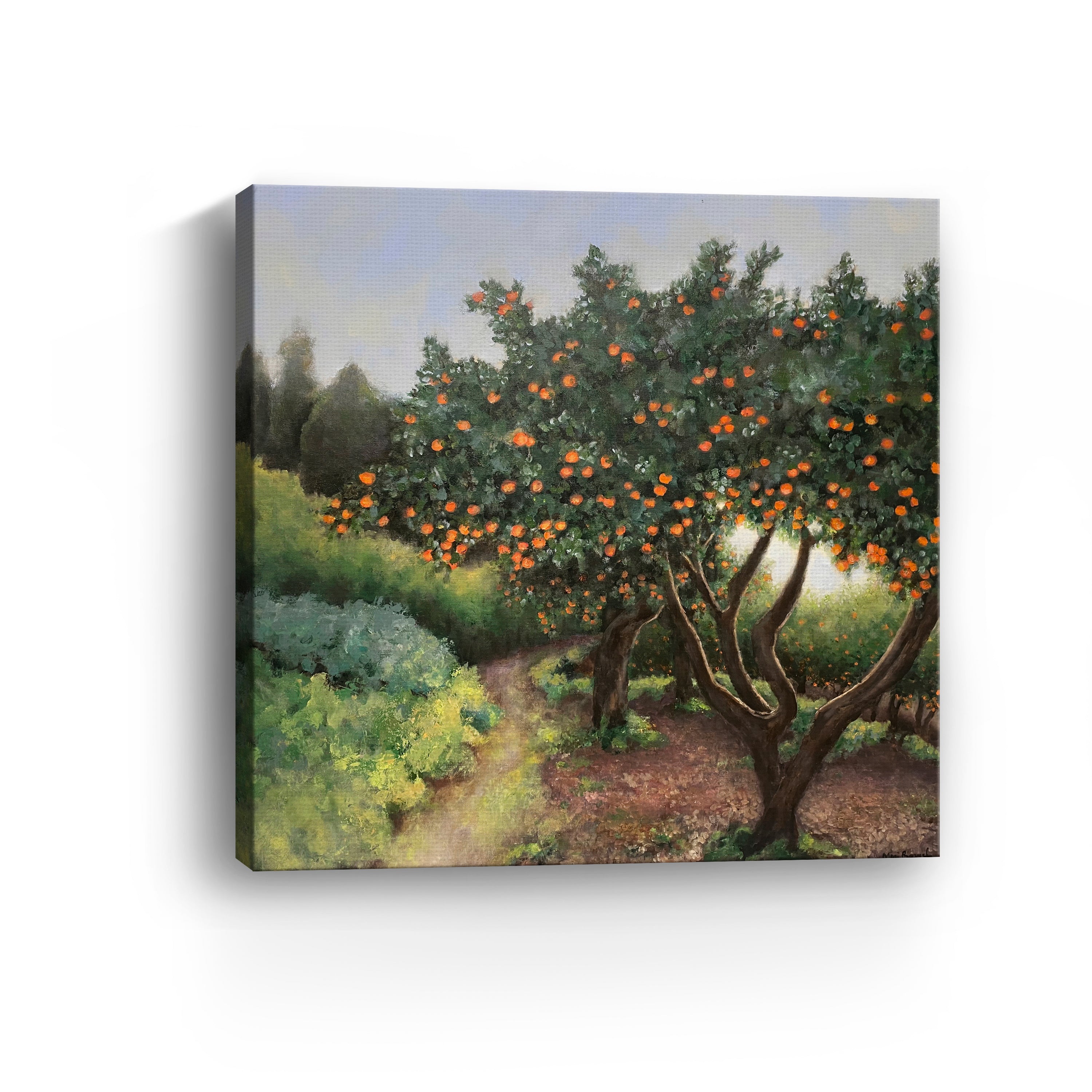 Orange Trees Canvas Giclee