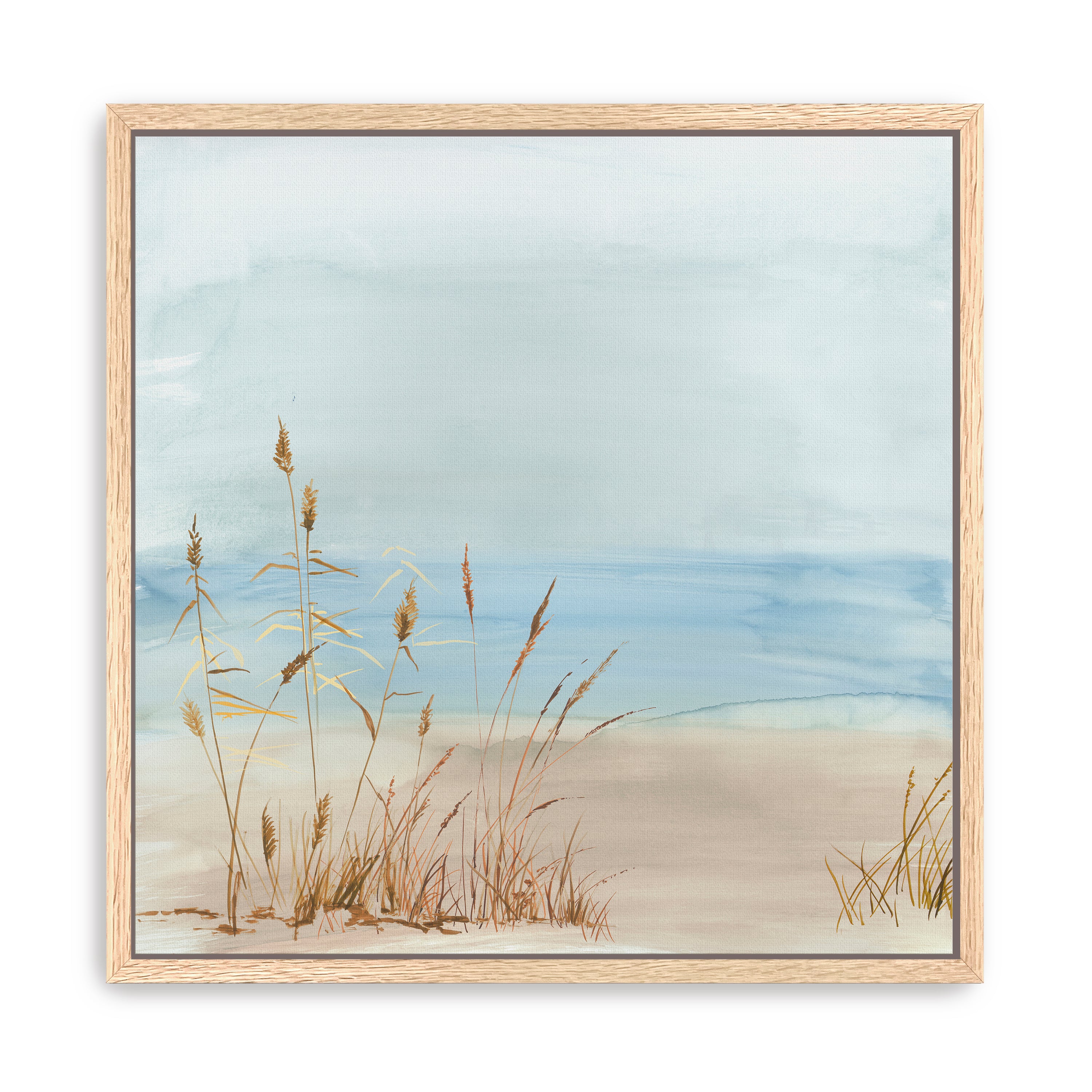 Beachside Grasses in Tranquil Light Canvas Giclee