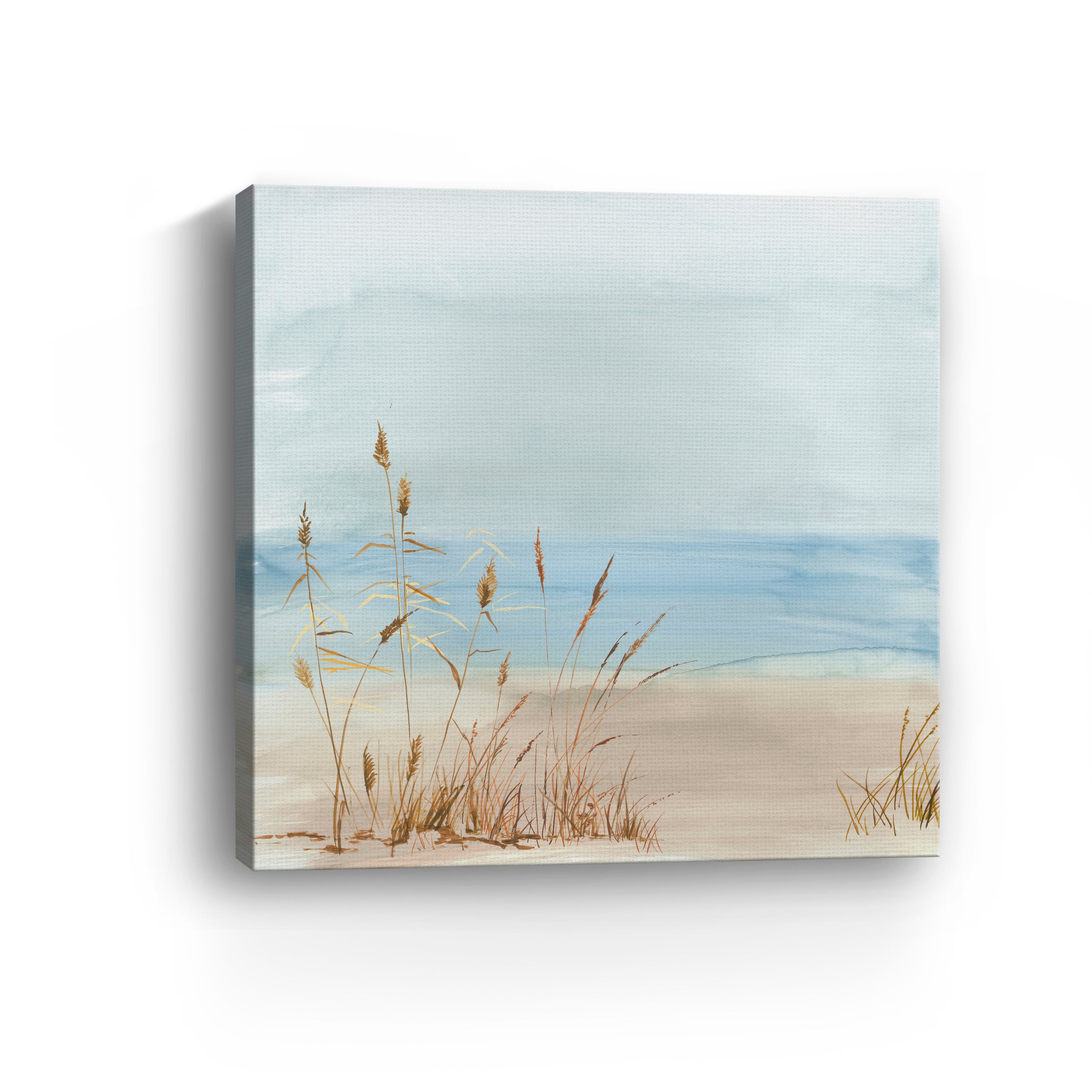 Beachside Grasses in Tranquil Light Canvas Giclee