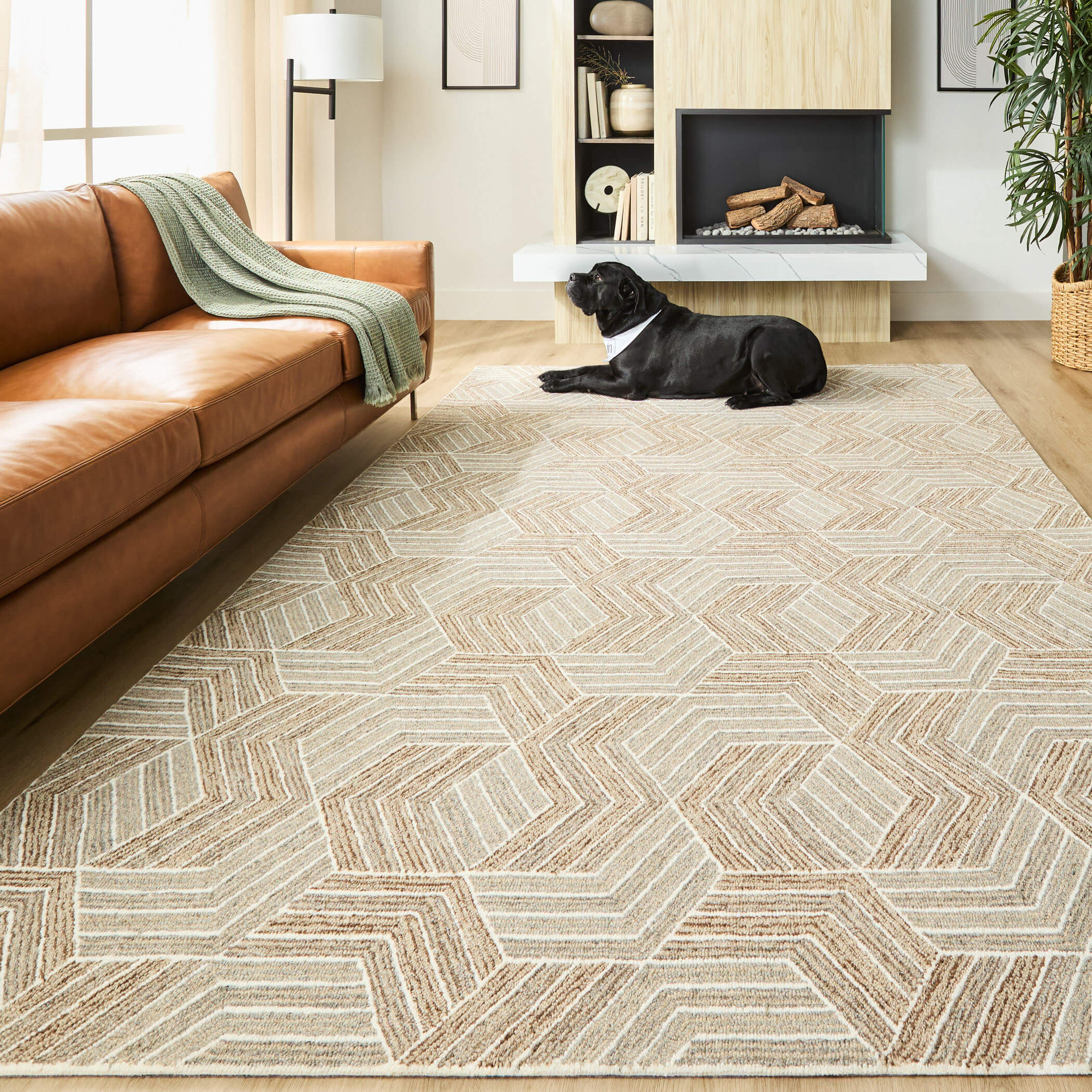 Sachin Brown Rug