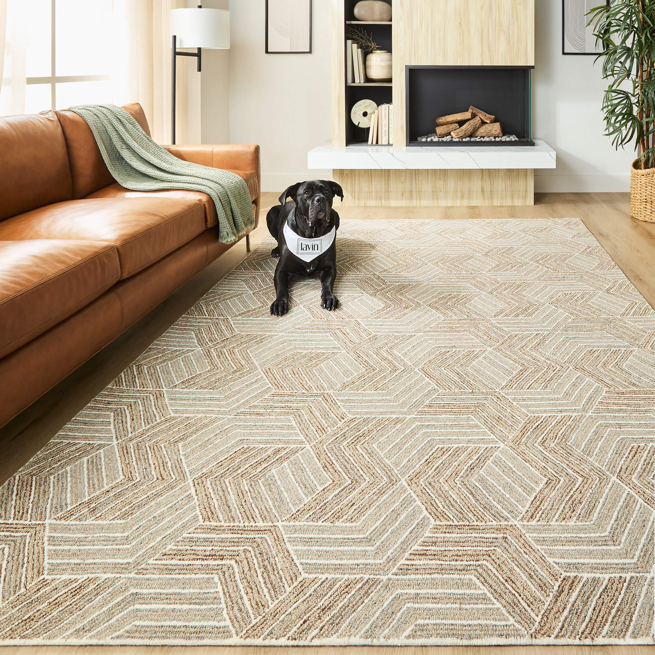 Sachin Brown Rug