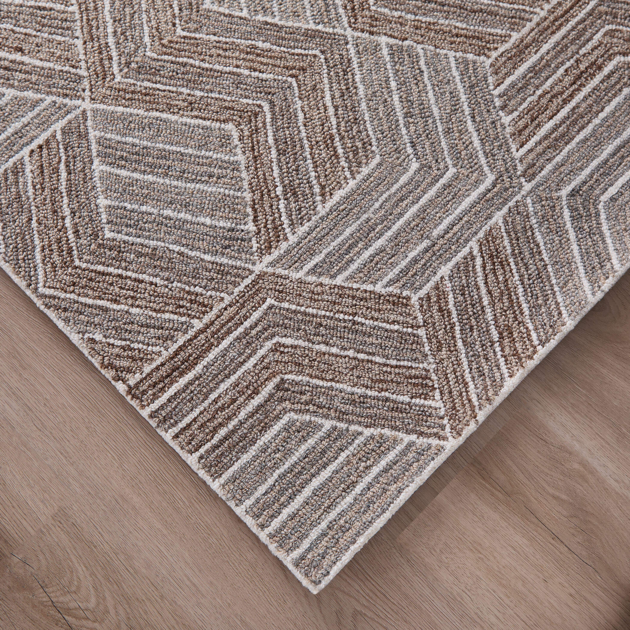 Sachin Brown Rug