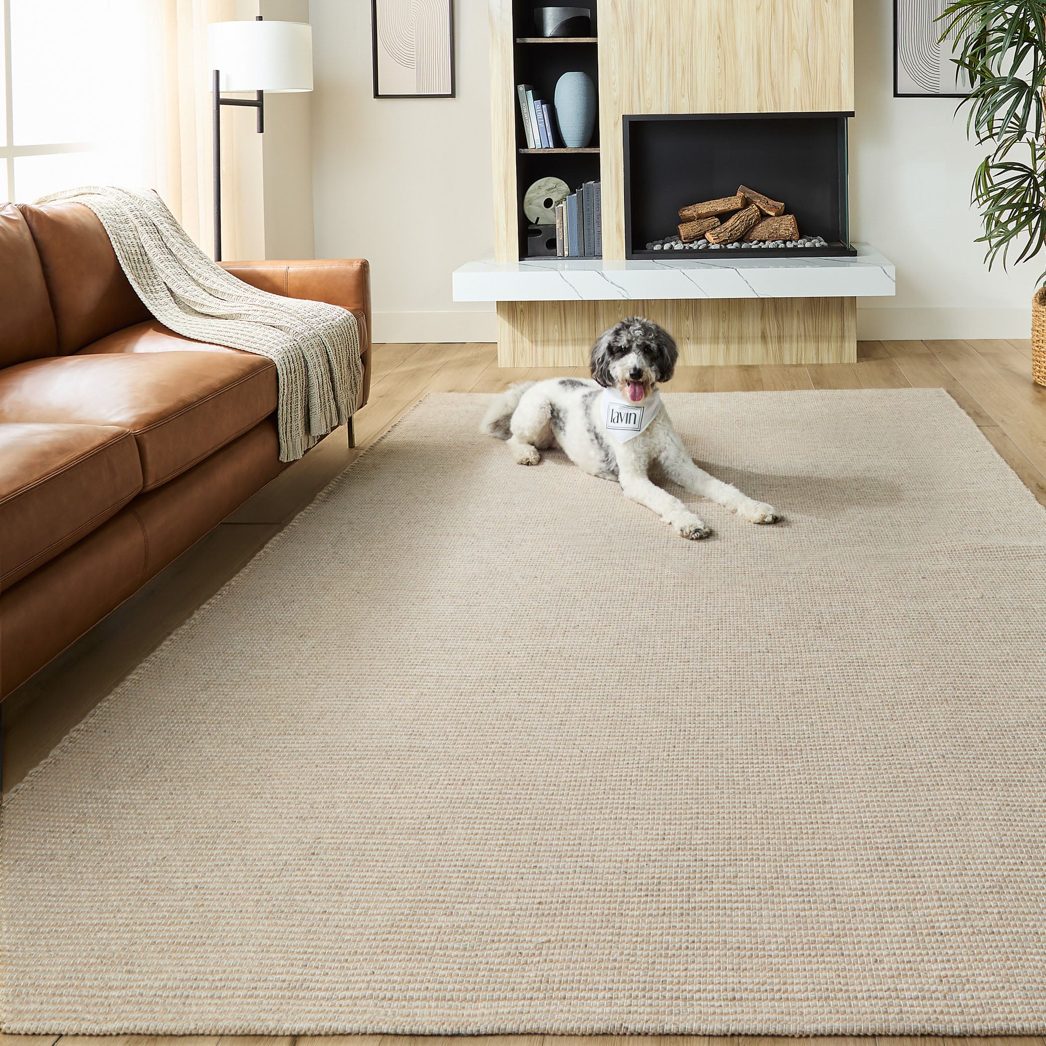 Saira Rug