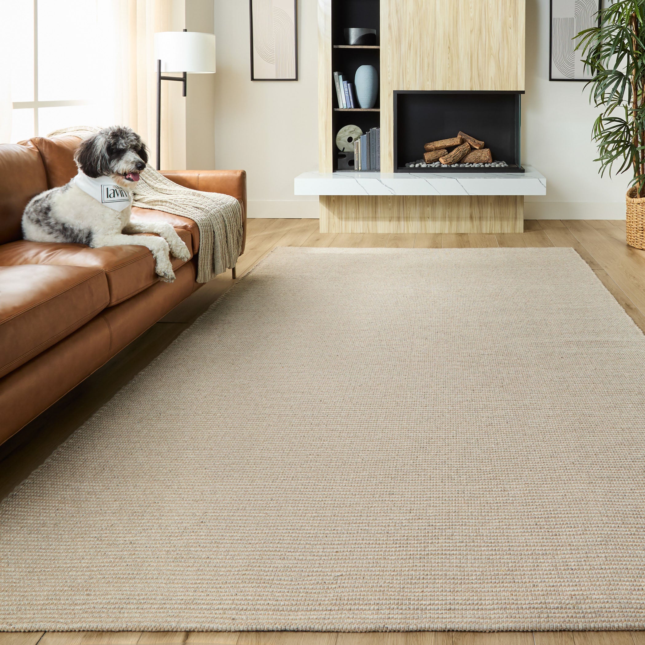 Saira Rug