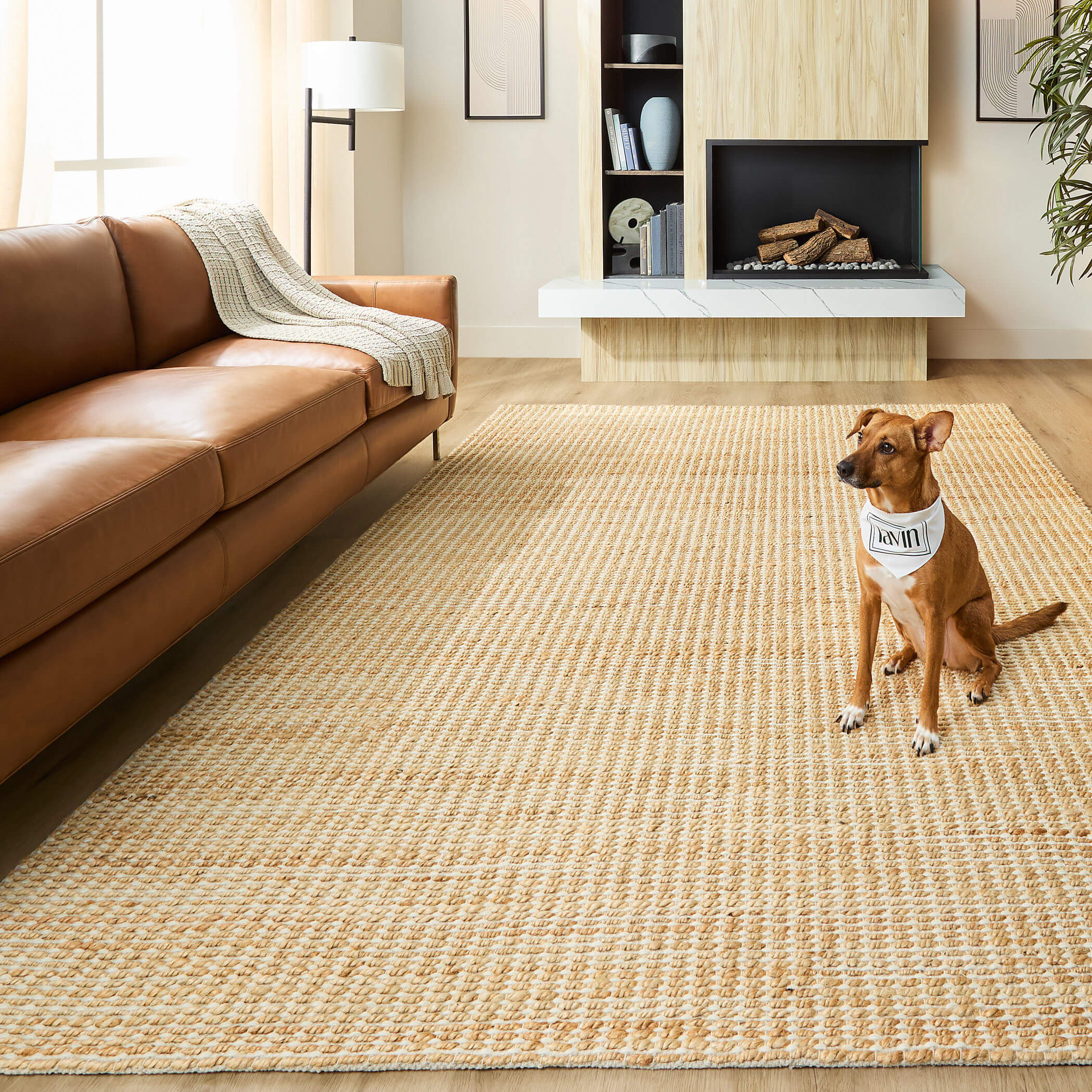 Chara Rug