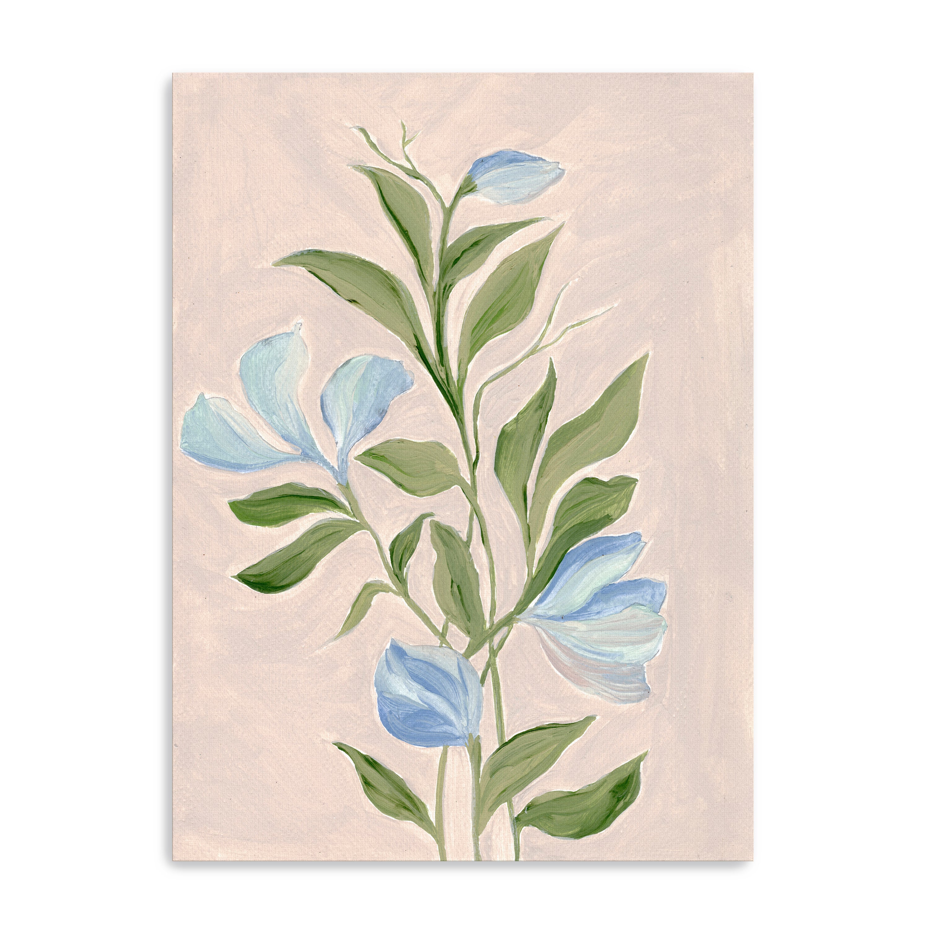 Botanico lll Canvas Giclee