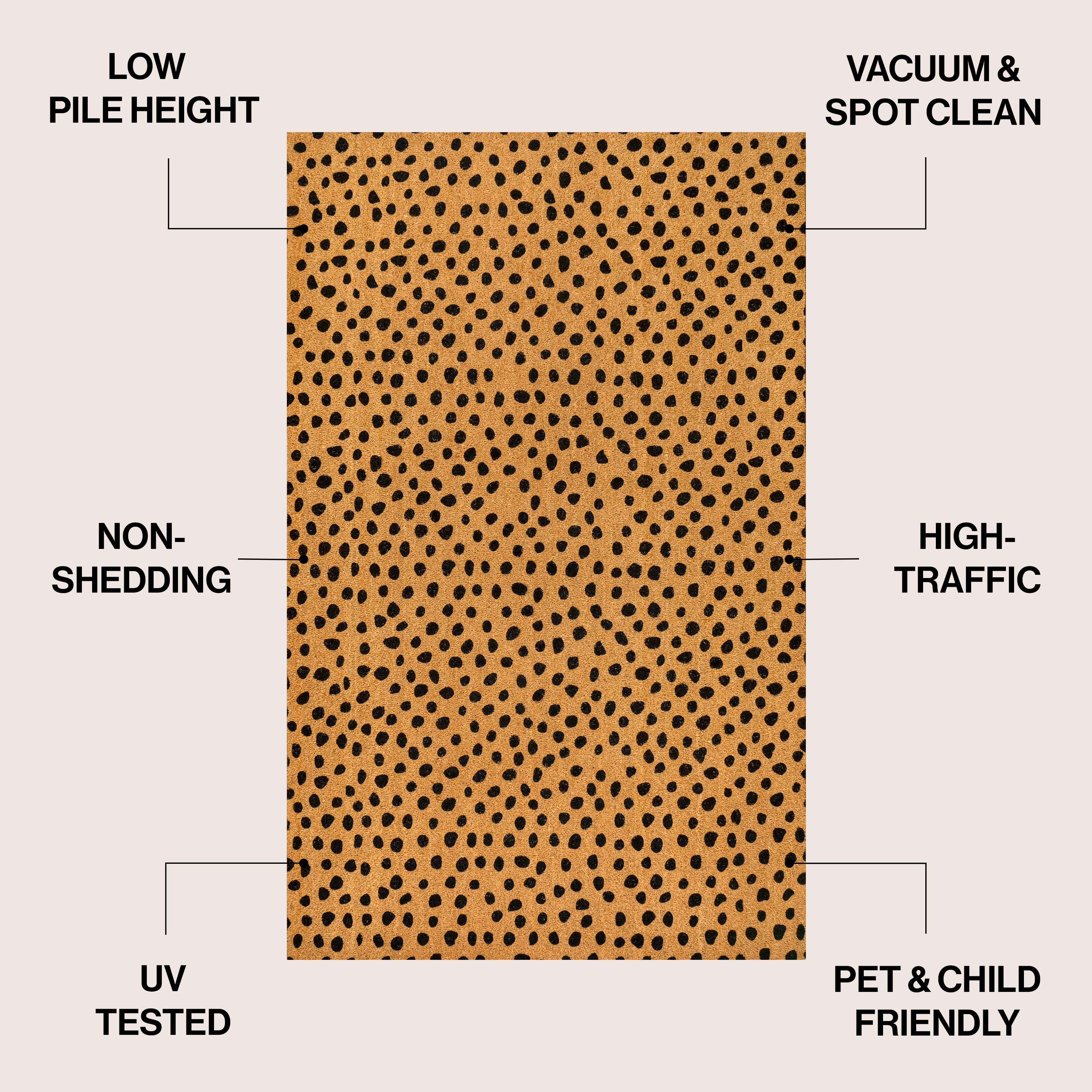 Daphne Modern Classic Animal-Spot Bordered Coir Indoor/Outdoor Doormat