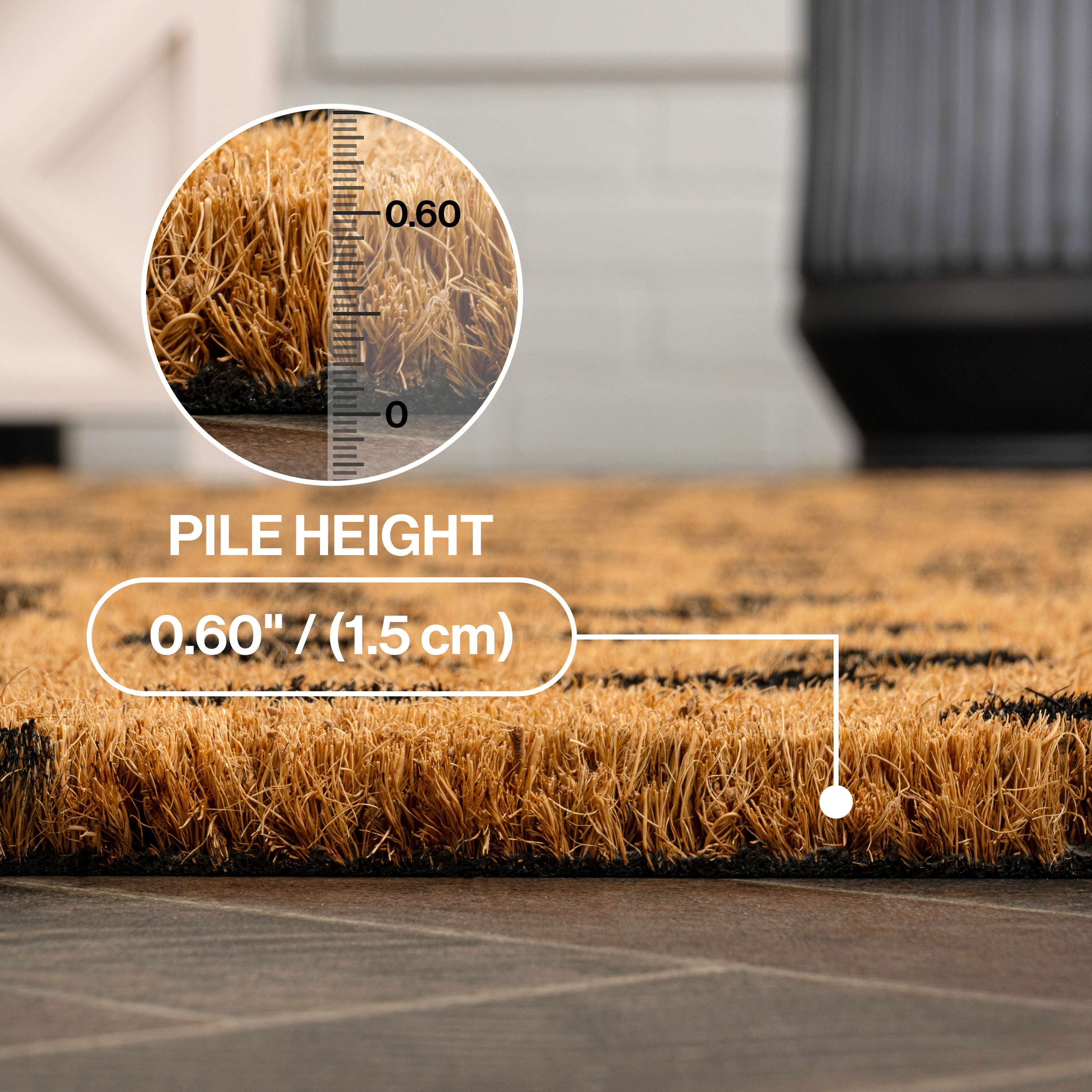 Daphne Modern Classic Animal-Spot Bordered Coir Indoor/Outdoor Doormat