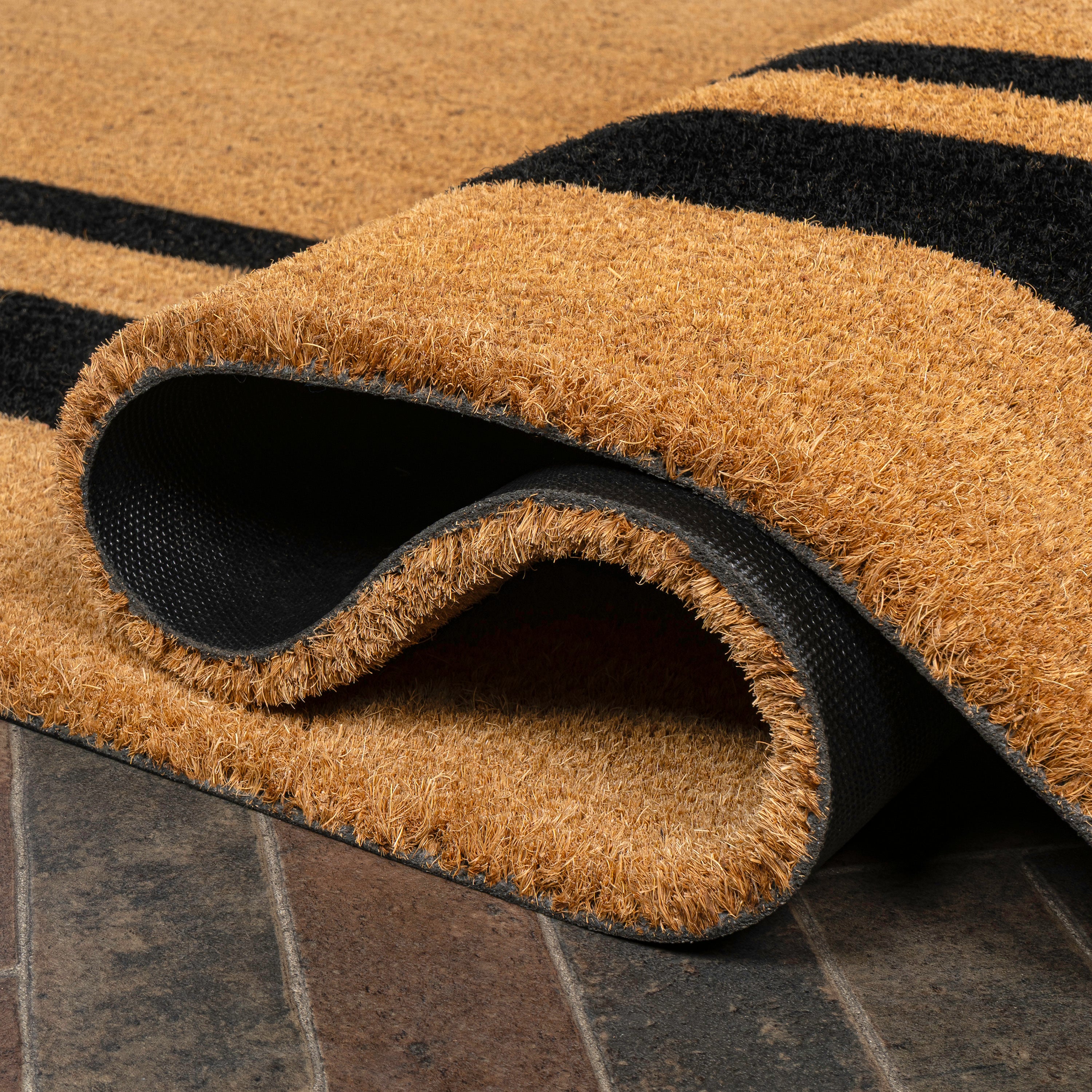 Blaire Modern Classic Double Border Indoor/Outdoor Doormat