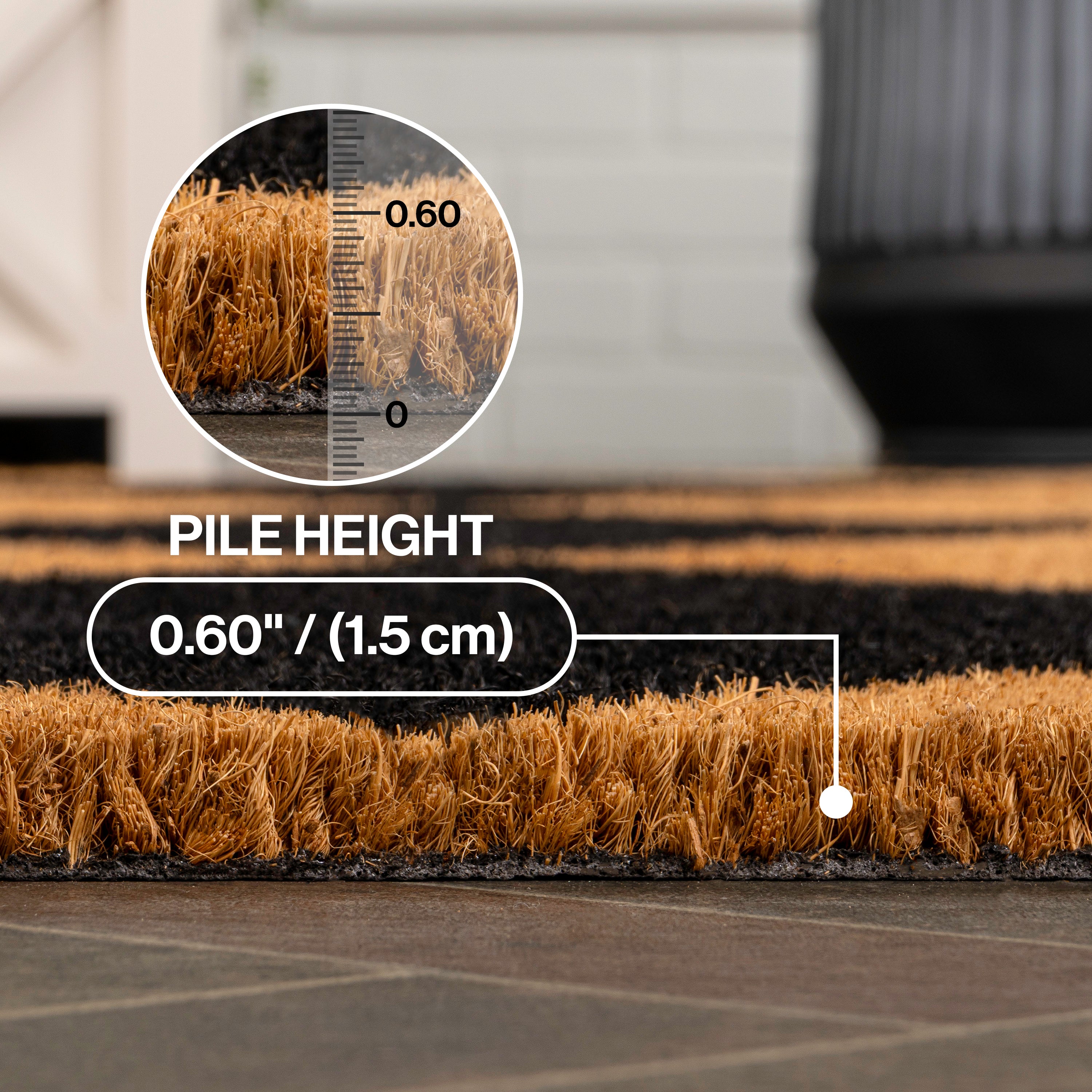 Paige Modern Classic Diamond-Patterned Coir Indoor/Outdoor Doormat