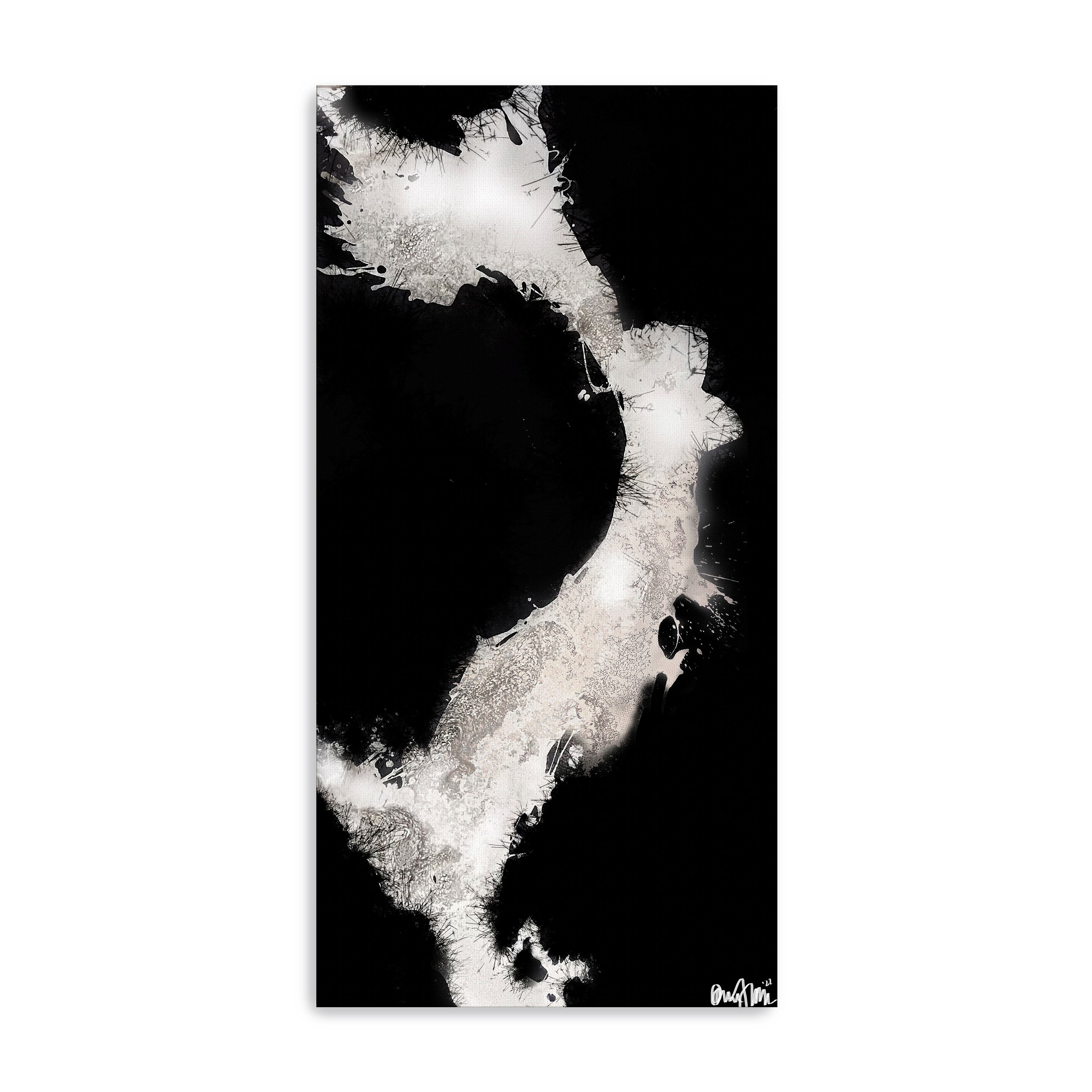 Inverted Splashes Canvas Giclee