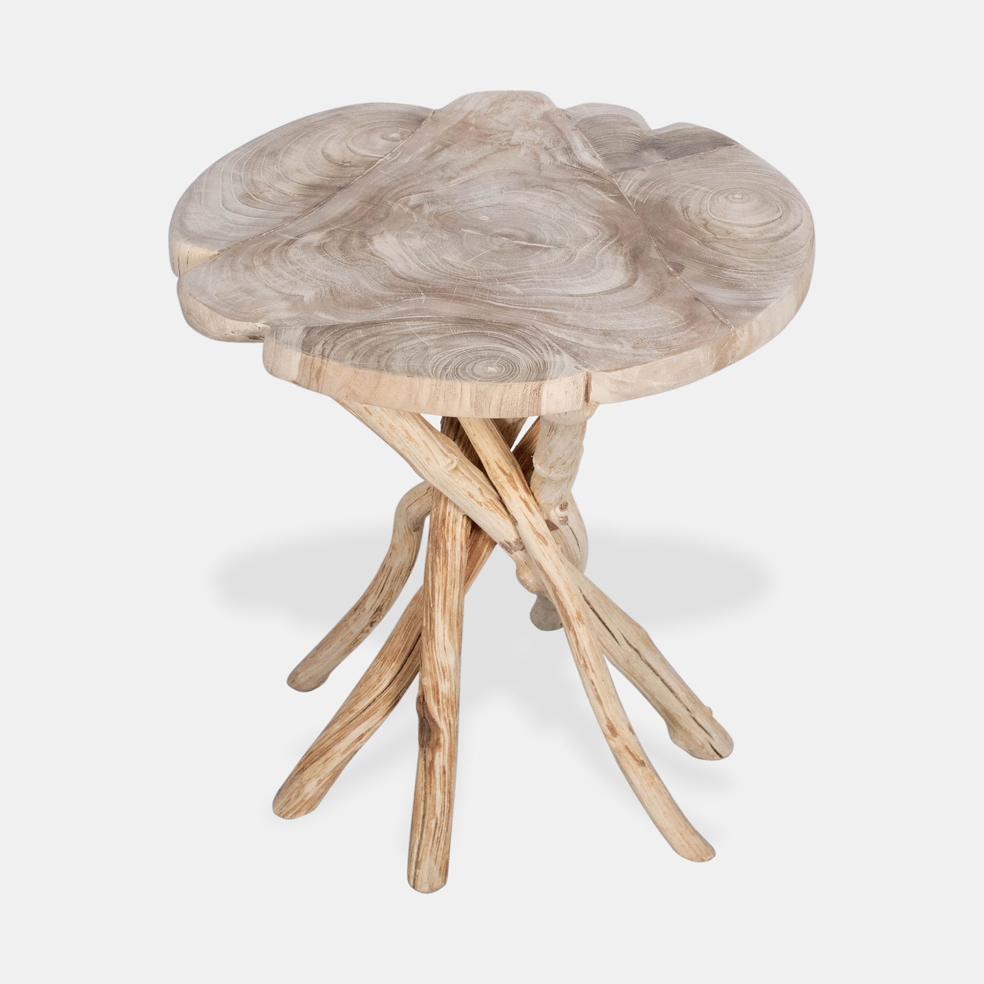 Teak Top 20.5"W Side Table with Natural Root Base