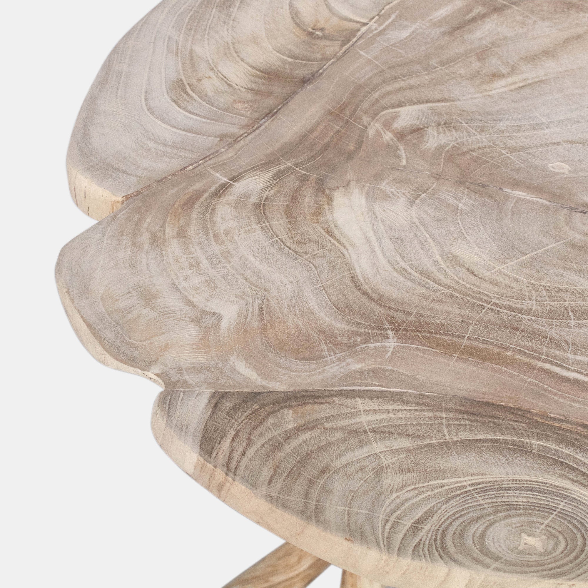 Teak Top 20.5"W Side Table with Natural Root Base