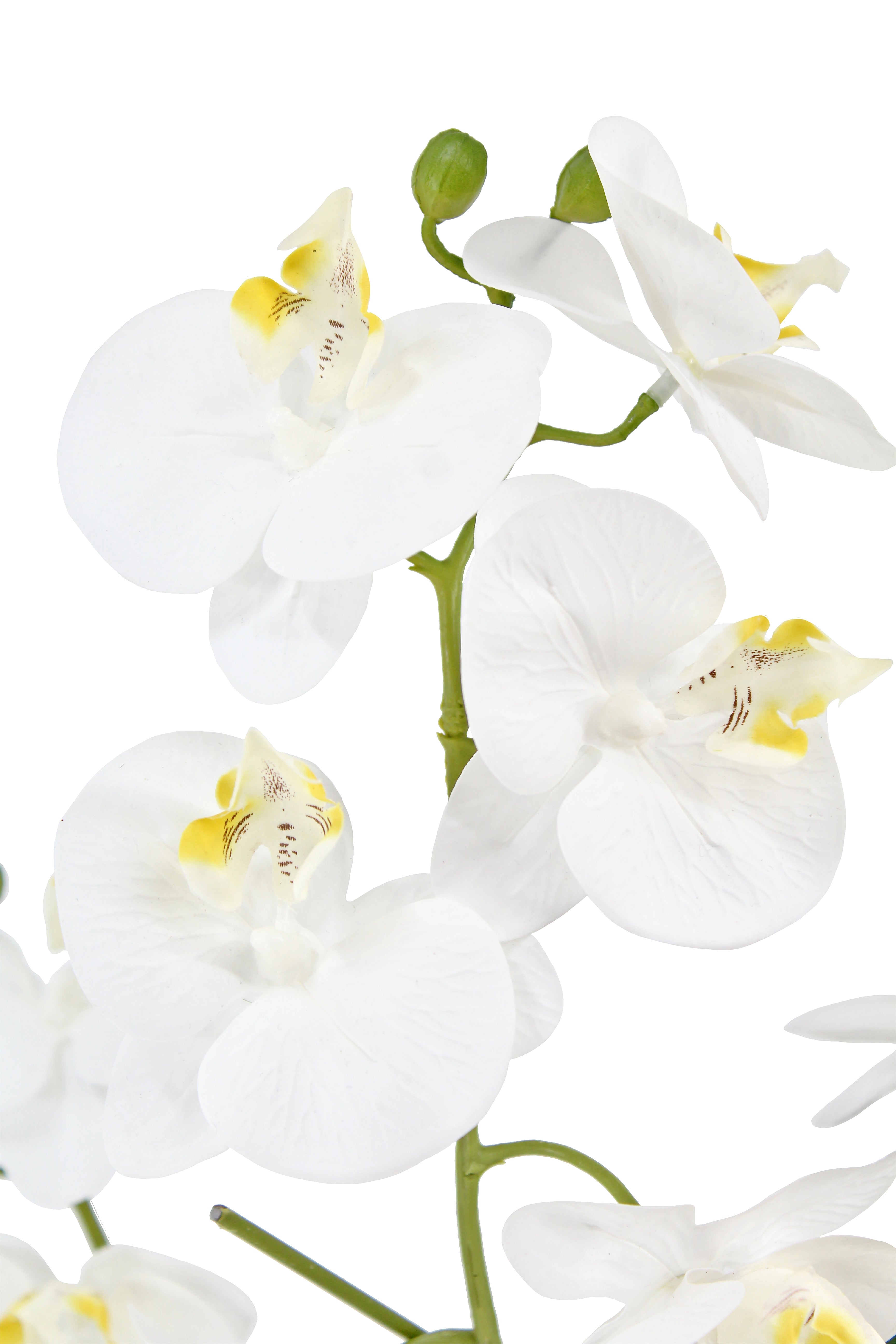 Lifelike 23" Faux Phalaenopsis Orchid