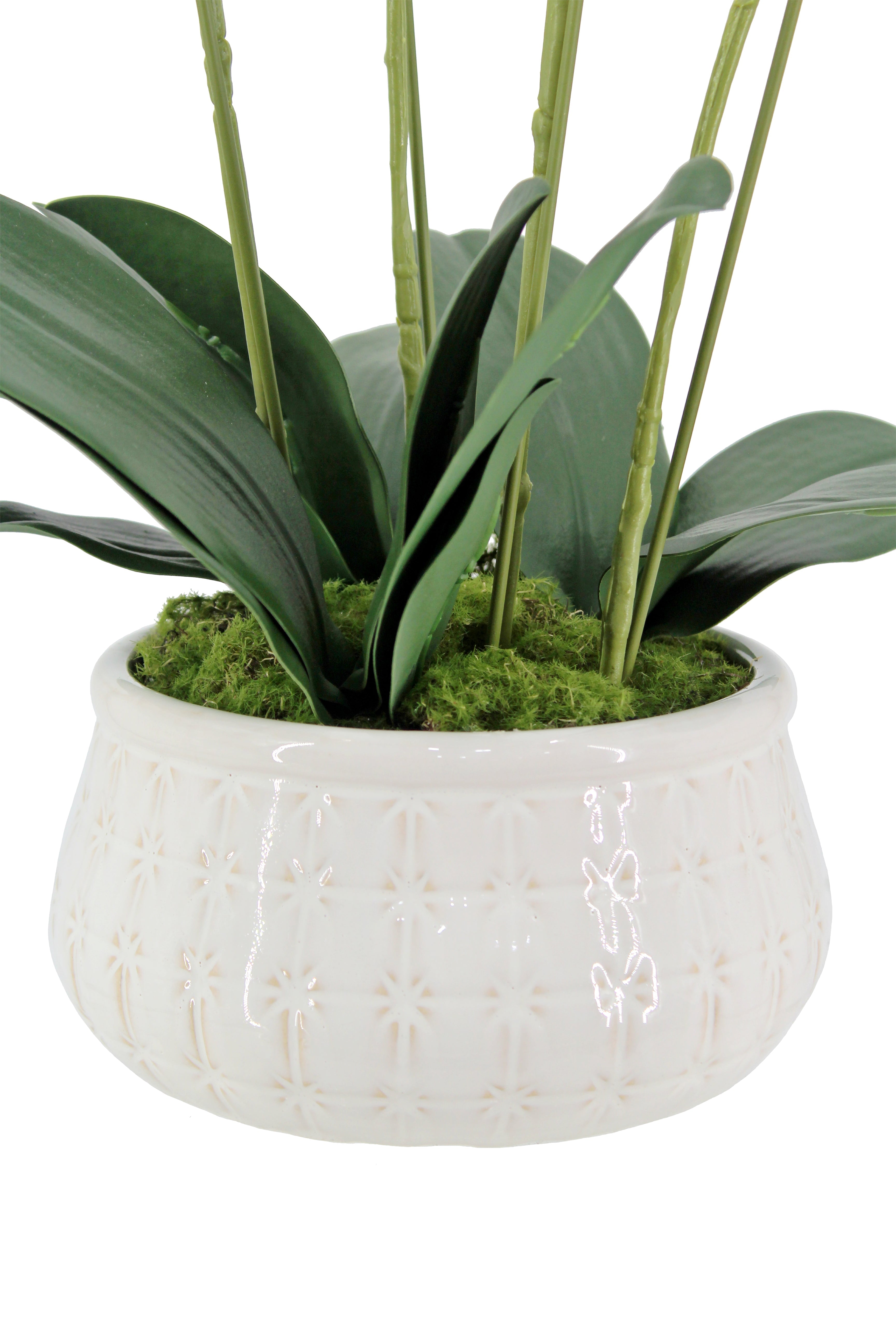 Lifelike 23" Faux Phalaenopsis Orchid