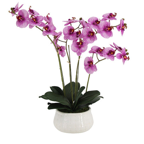 23" Faux Orchid Arrangement in Purple - Lifelike Phalaenopsis in White Ceramic Pot