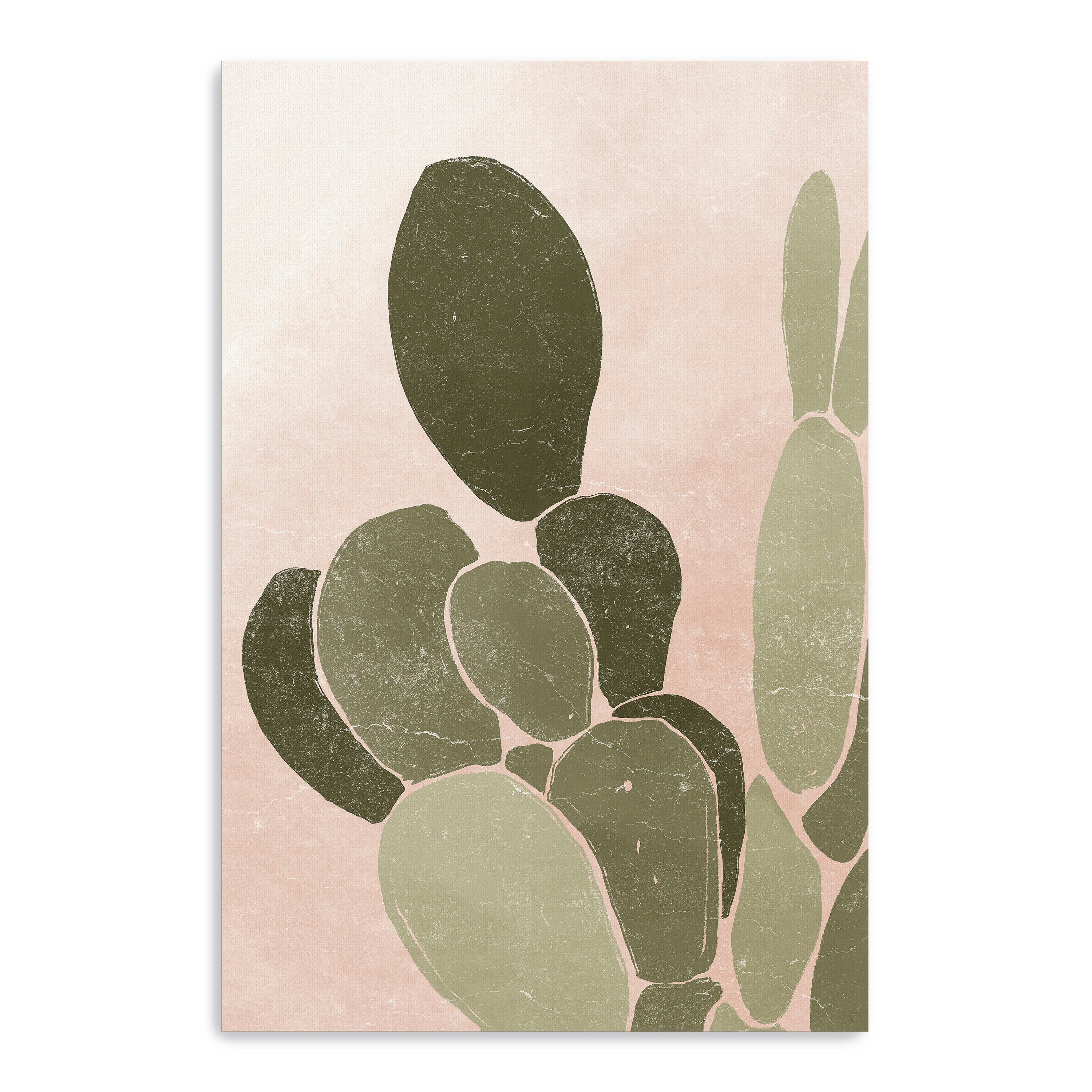 Desert Cactus III Canvas Giclee