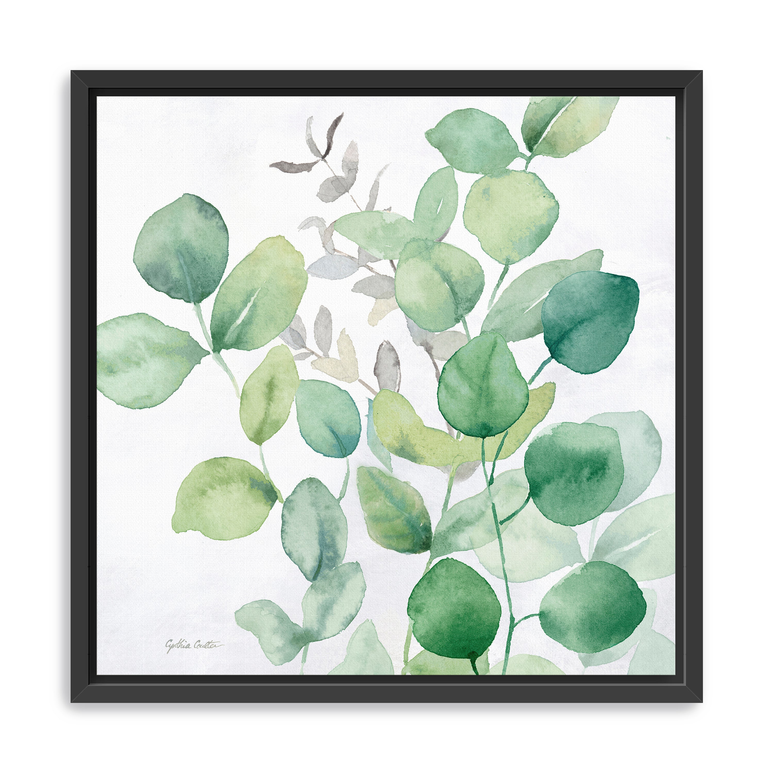 Eucalyptus Leaves I Canvas Giclee