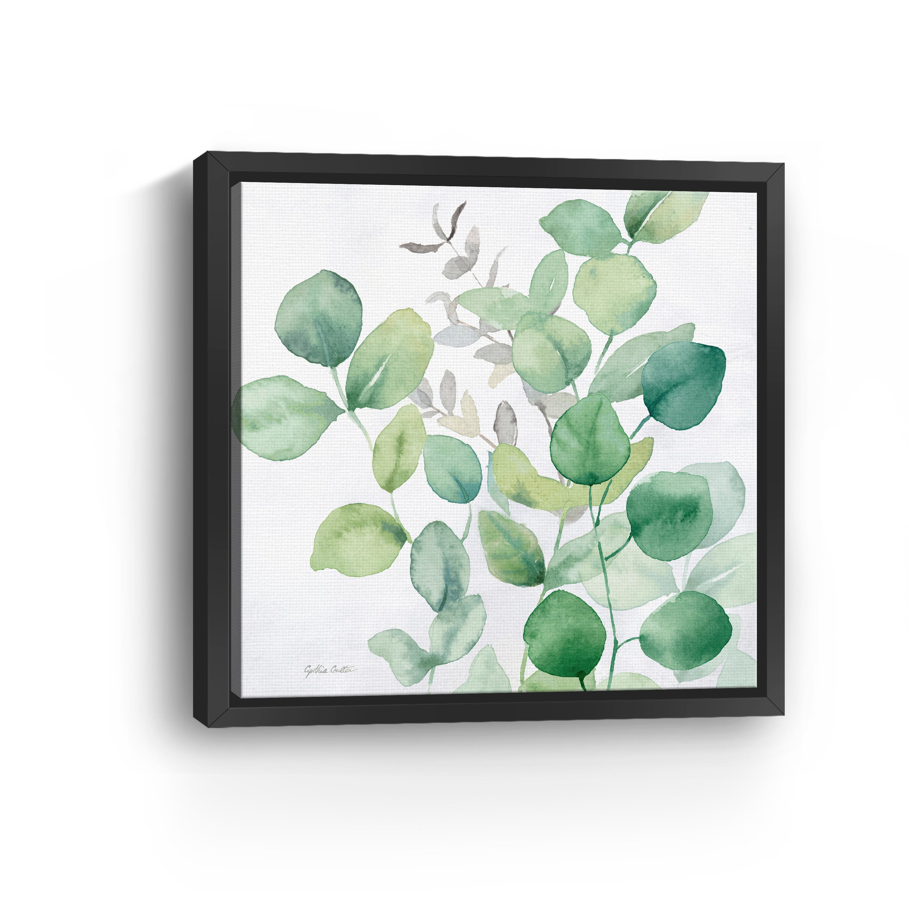Eucalyptus Leaves I Canvas Giclee