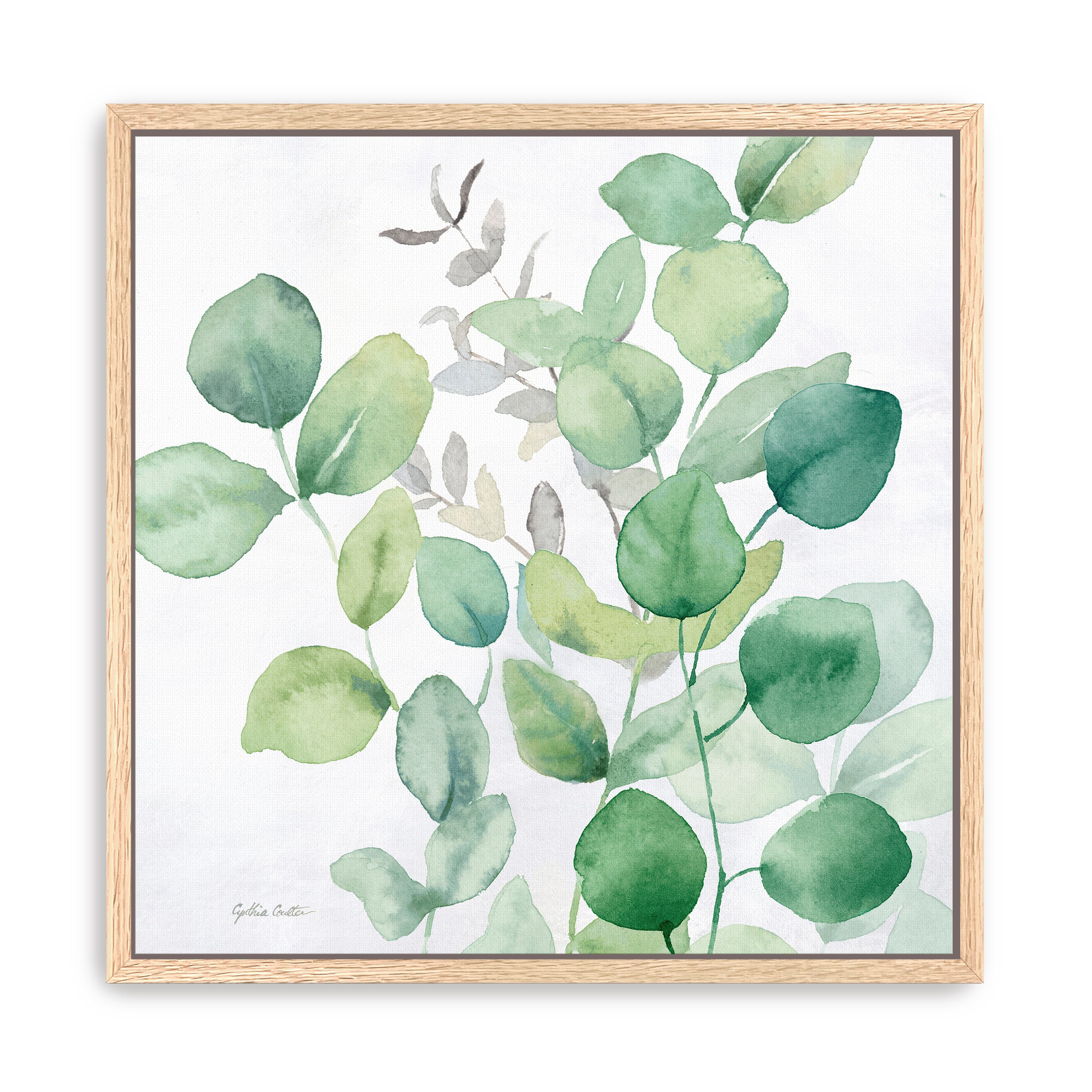 Eucalyptus Leaves I Canvas Giclee
