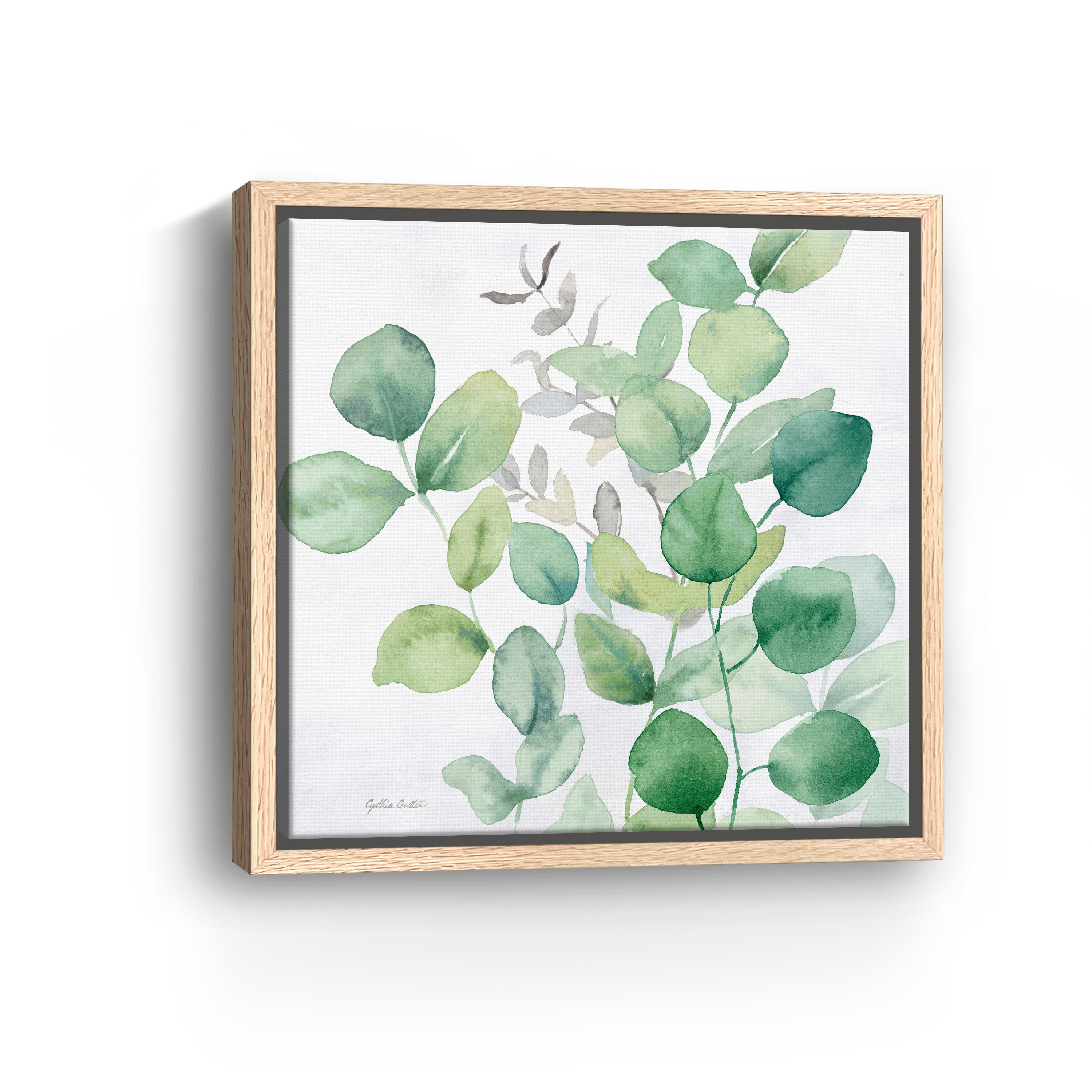 Eucalyptus Leaves I Canvas Giclee