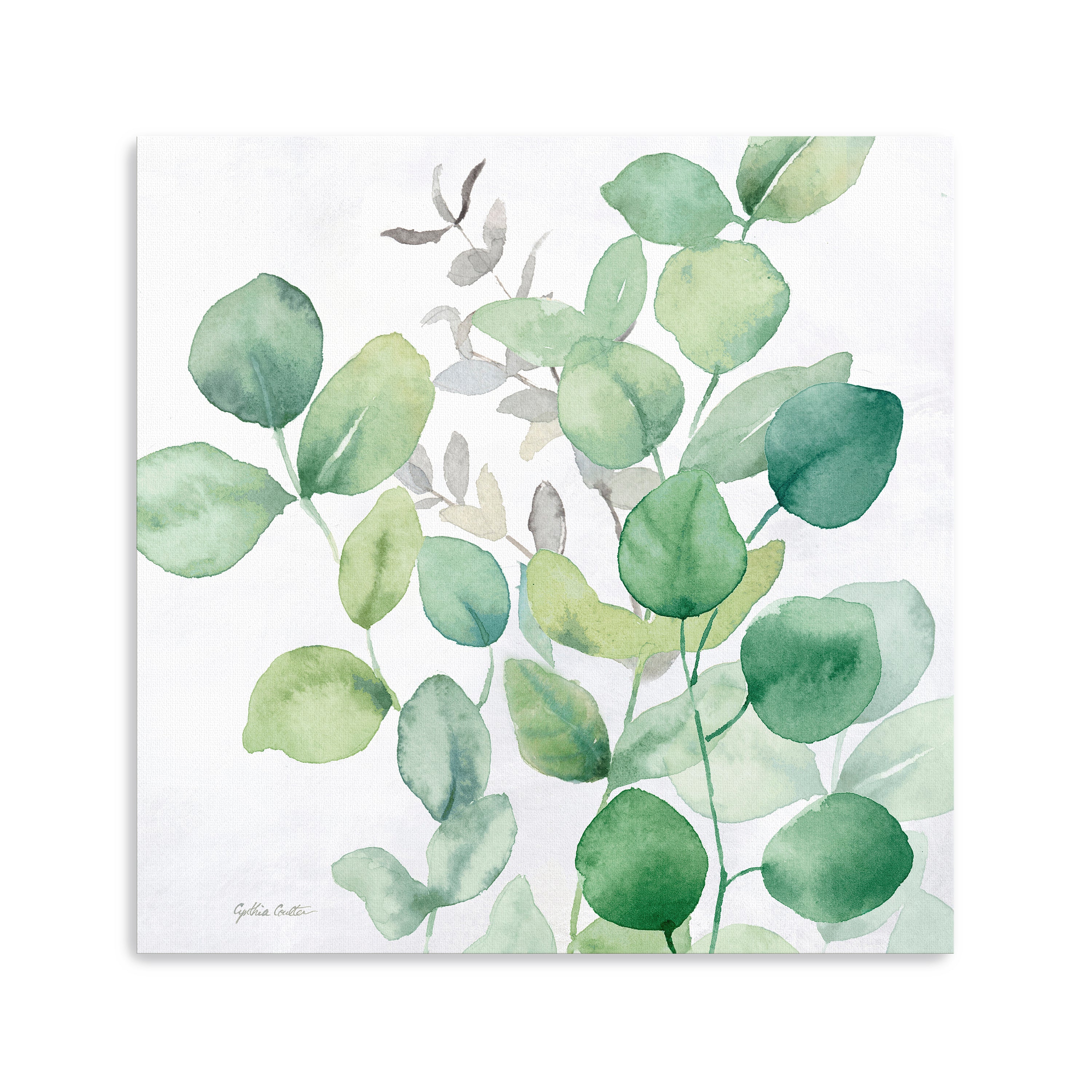 Eucalyptus Leaves I Canvas Giclee