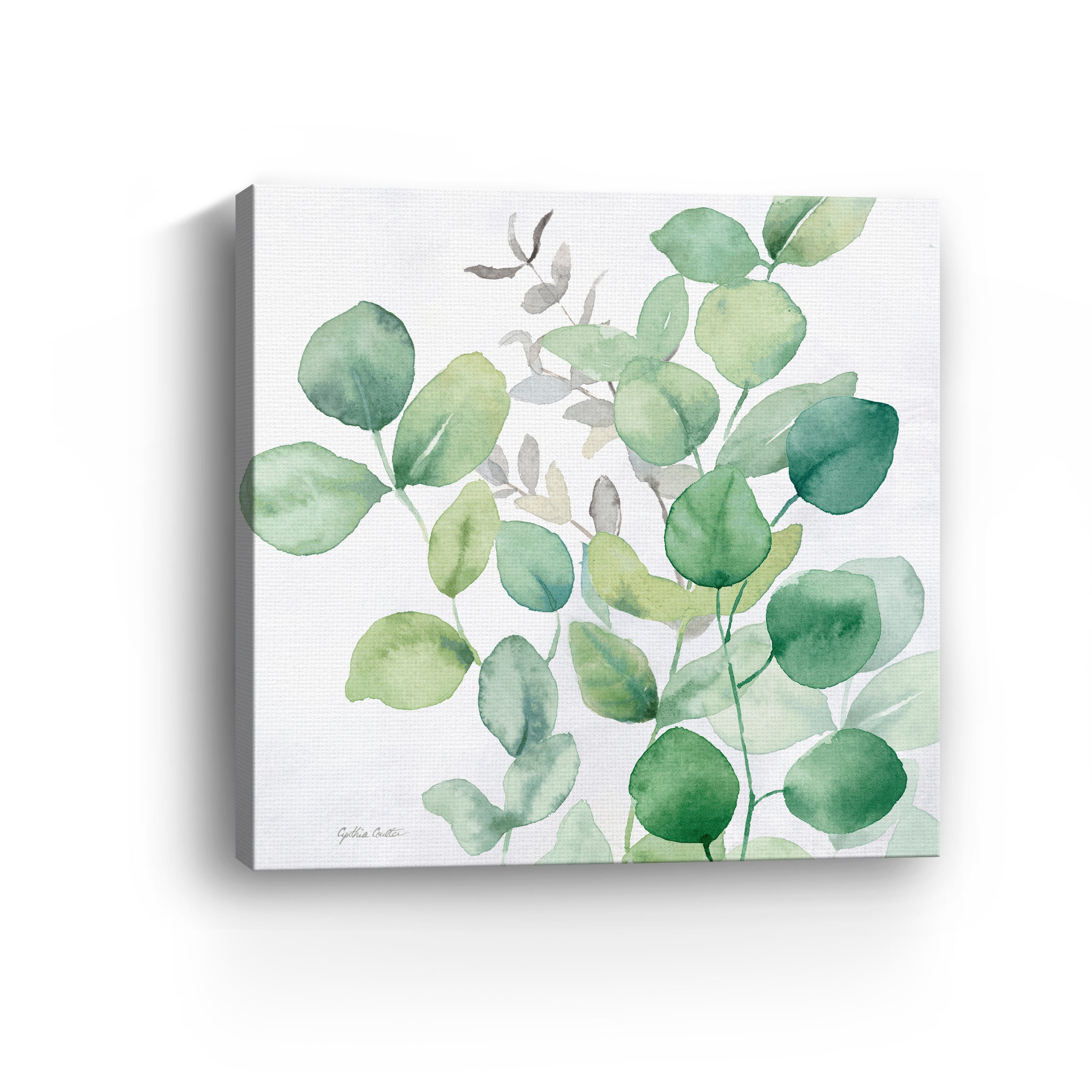 Eucalyptus Leaves I Canvas Giclee